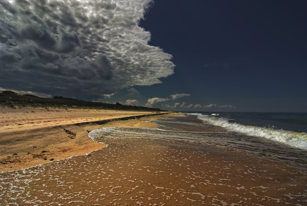 курская, коса, Александр Титаренко