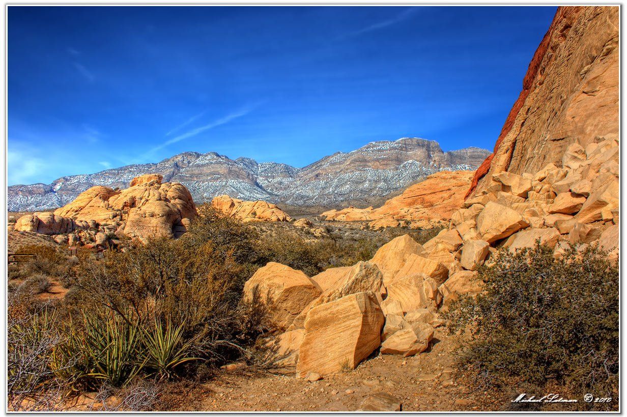 red, rock, canyon, desert, life, Michael Latman