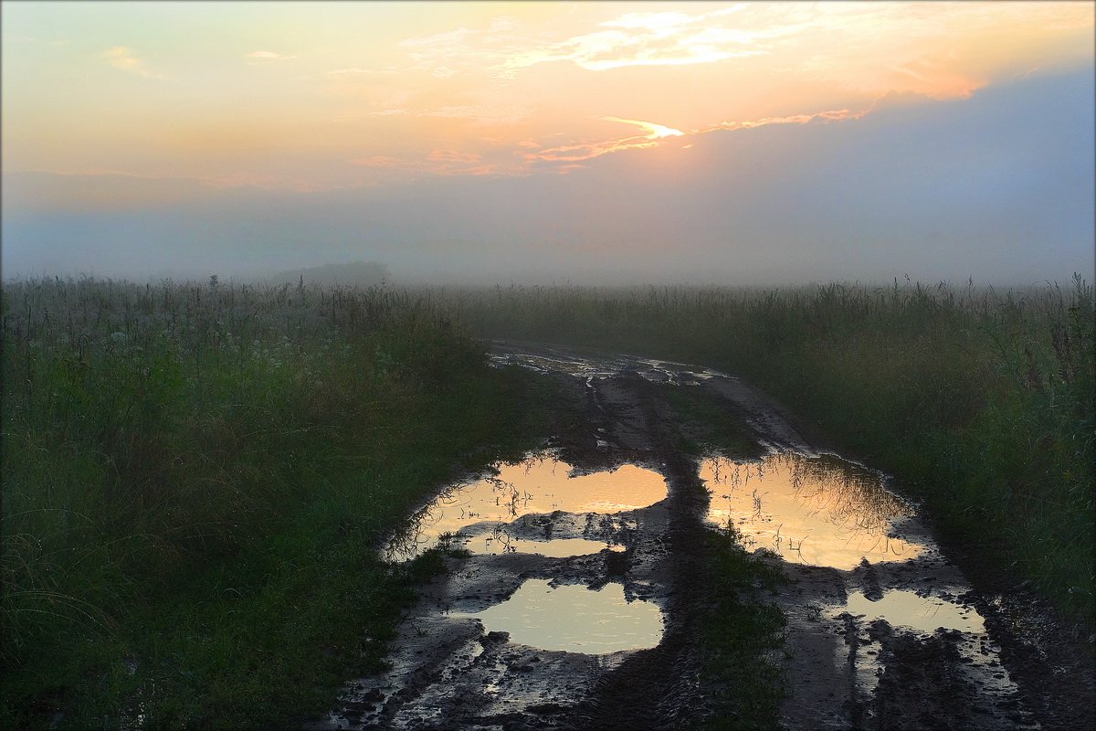 дождь, деревня, рассвет, туман, распутица, Екатерина Богданова