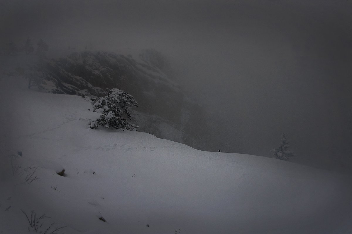 зима, сосна, метель, снег, горы, Anastasia Aymilios