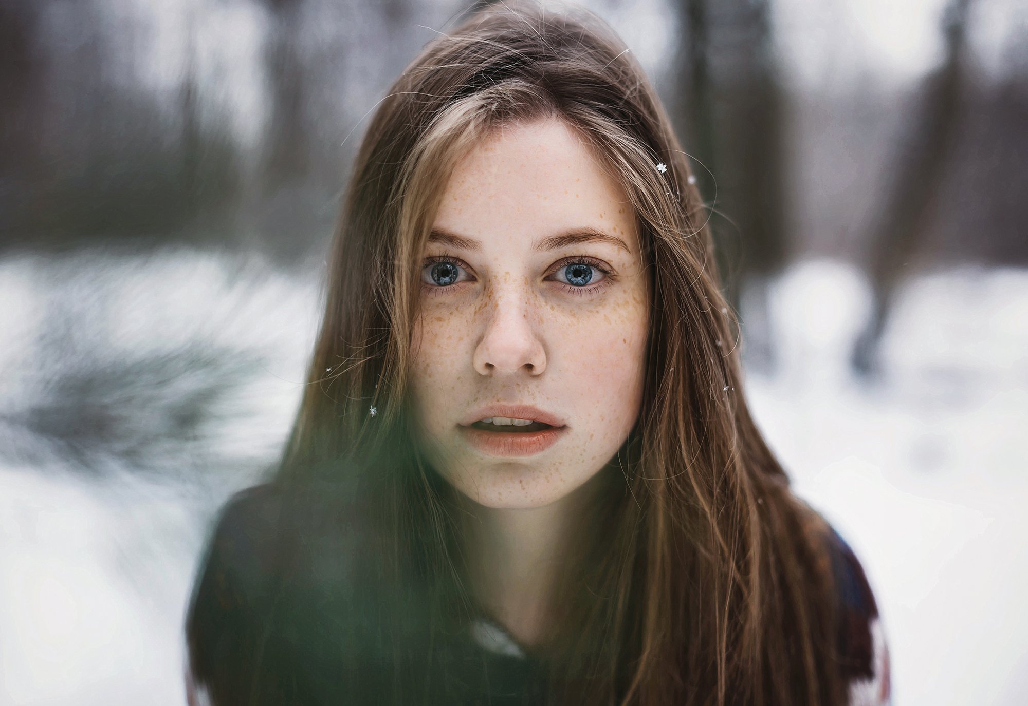 девушка лицо портрет волосы глаза веснушки, Комарова Настя