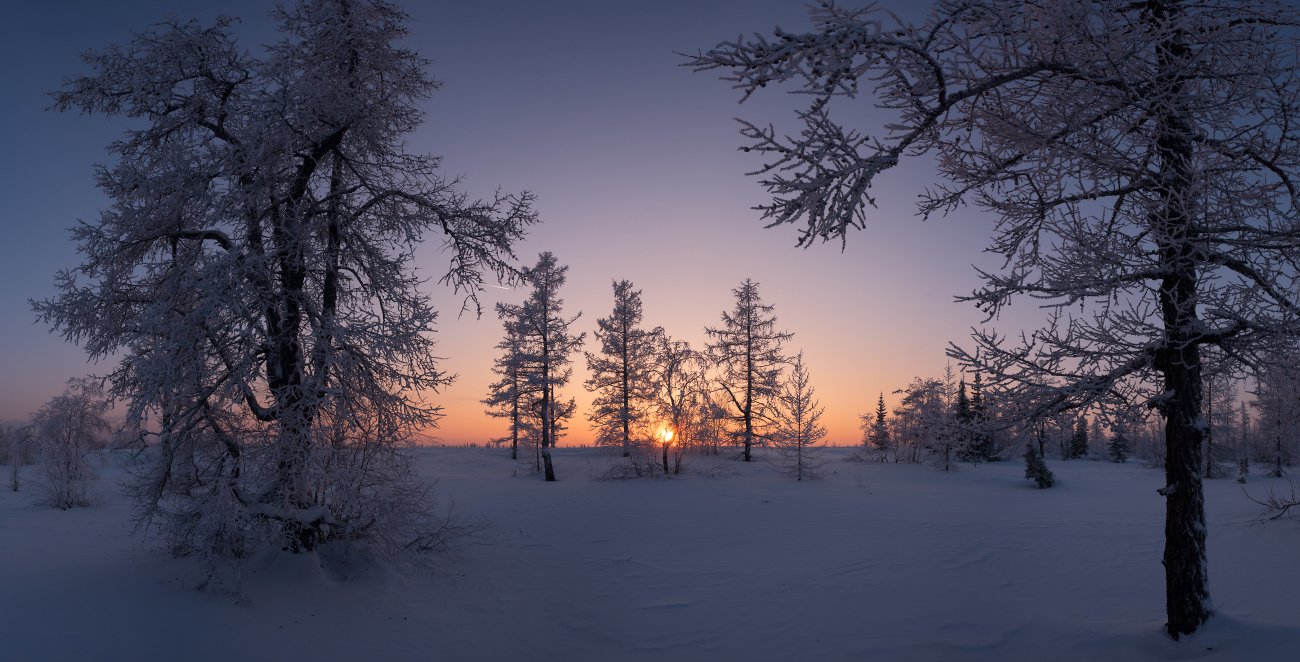 зима, закат, уренгой, янао, сибирь, снег, мороз, Андрей Снегирёв
