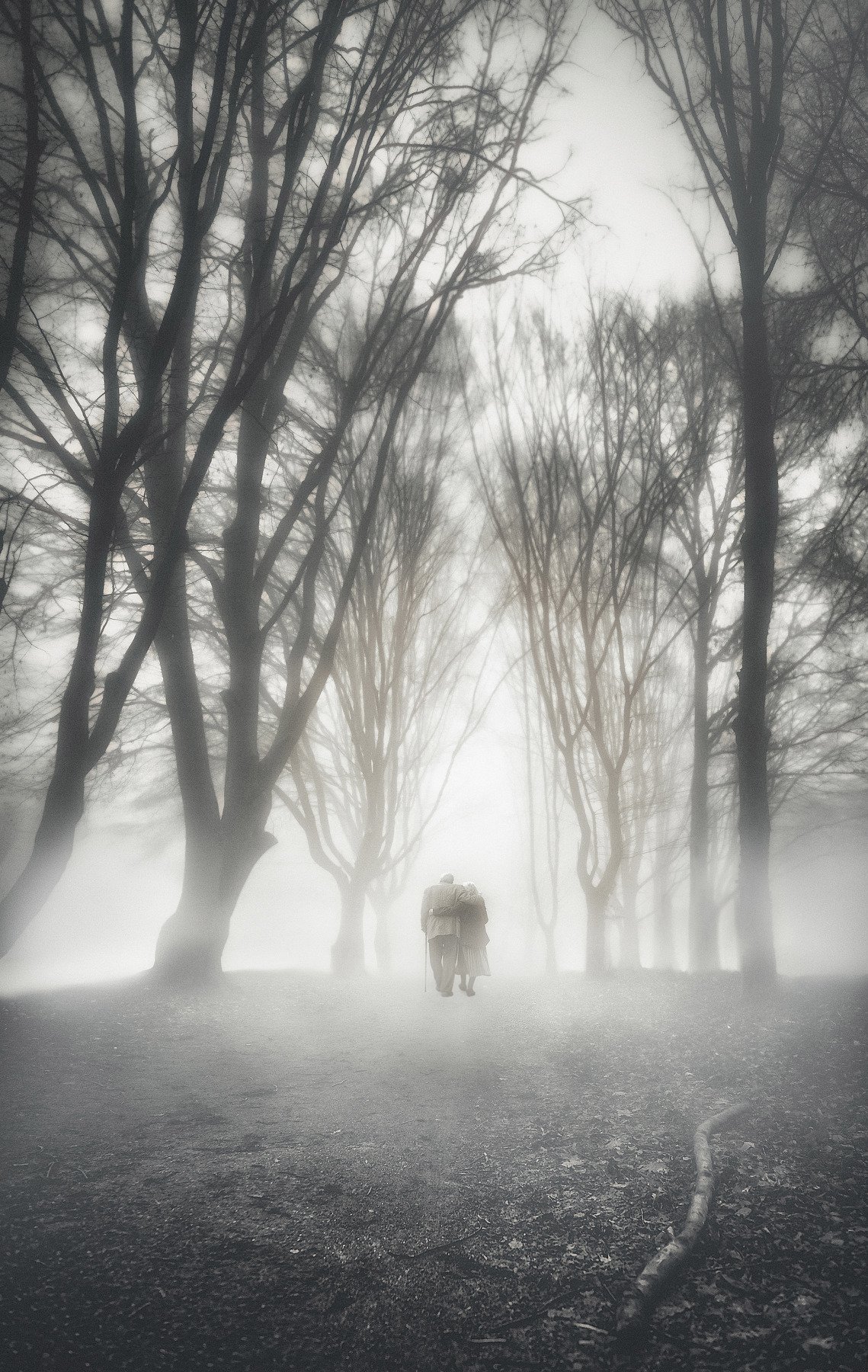 trees, fog, people, old, road, way ,life, love, relationships, hand, in, hand, support, bw, Сергей Нестеров