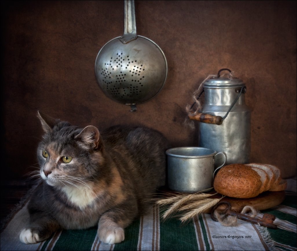 кошка, дуршлаг, бидон, кружка, хлеб, колосья, натюркотики, Eleonora Grigorjeva
