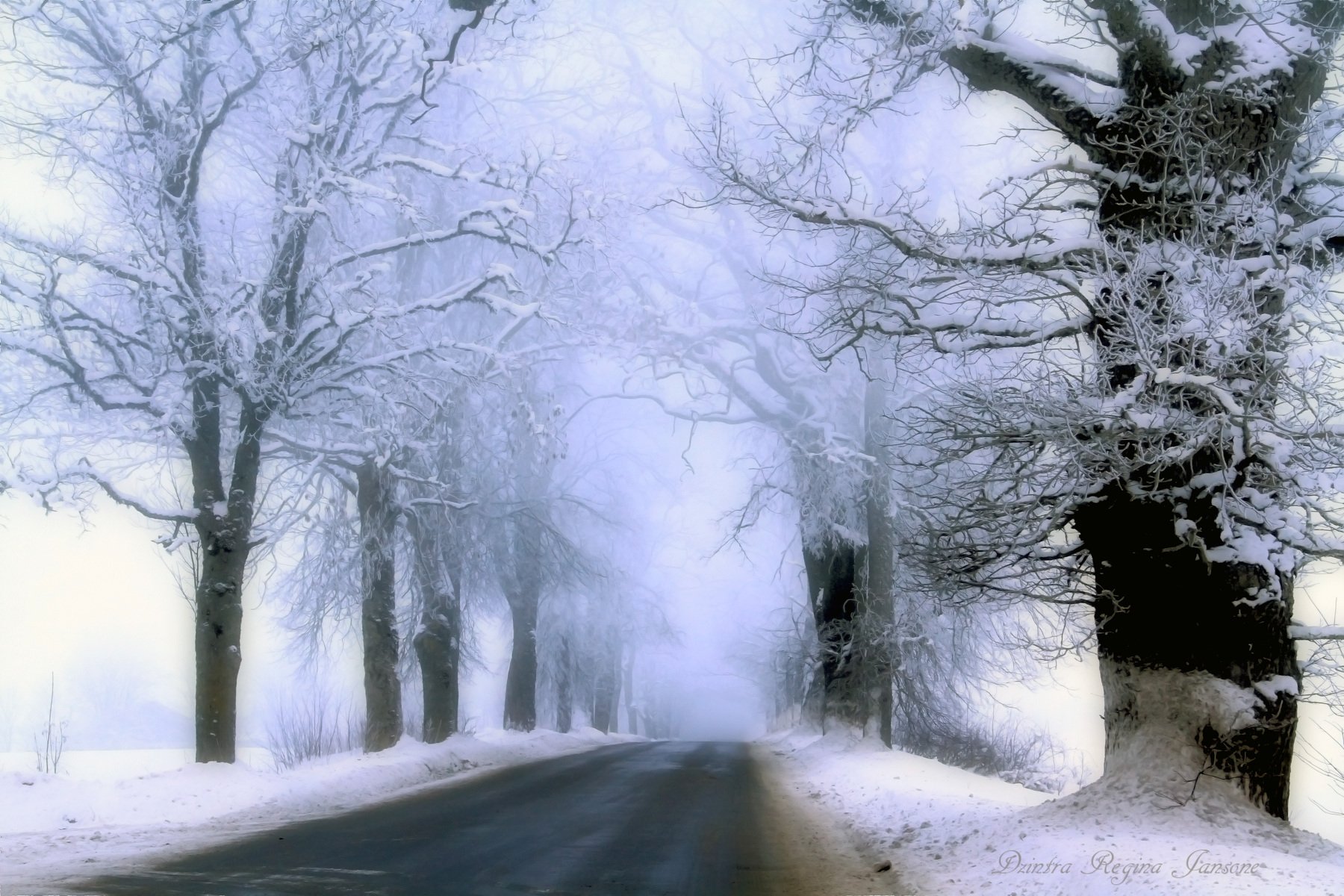 mist, winter, snow, blue, trees, winters landscape, road,  country, DZINTRA REGINA JANSONE