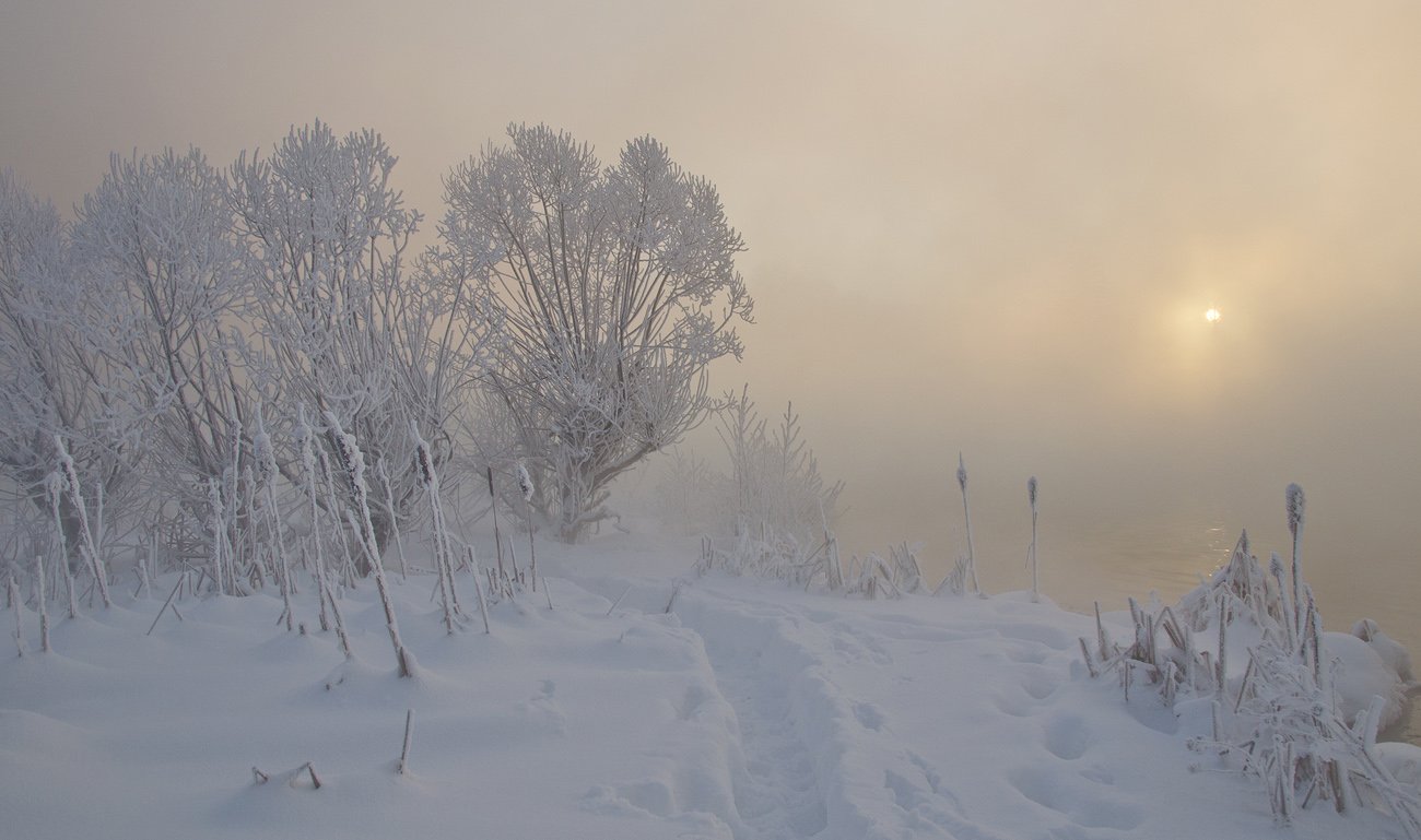 зима холод мороз снег иней озеро горячка, Михаил Агеев