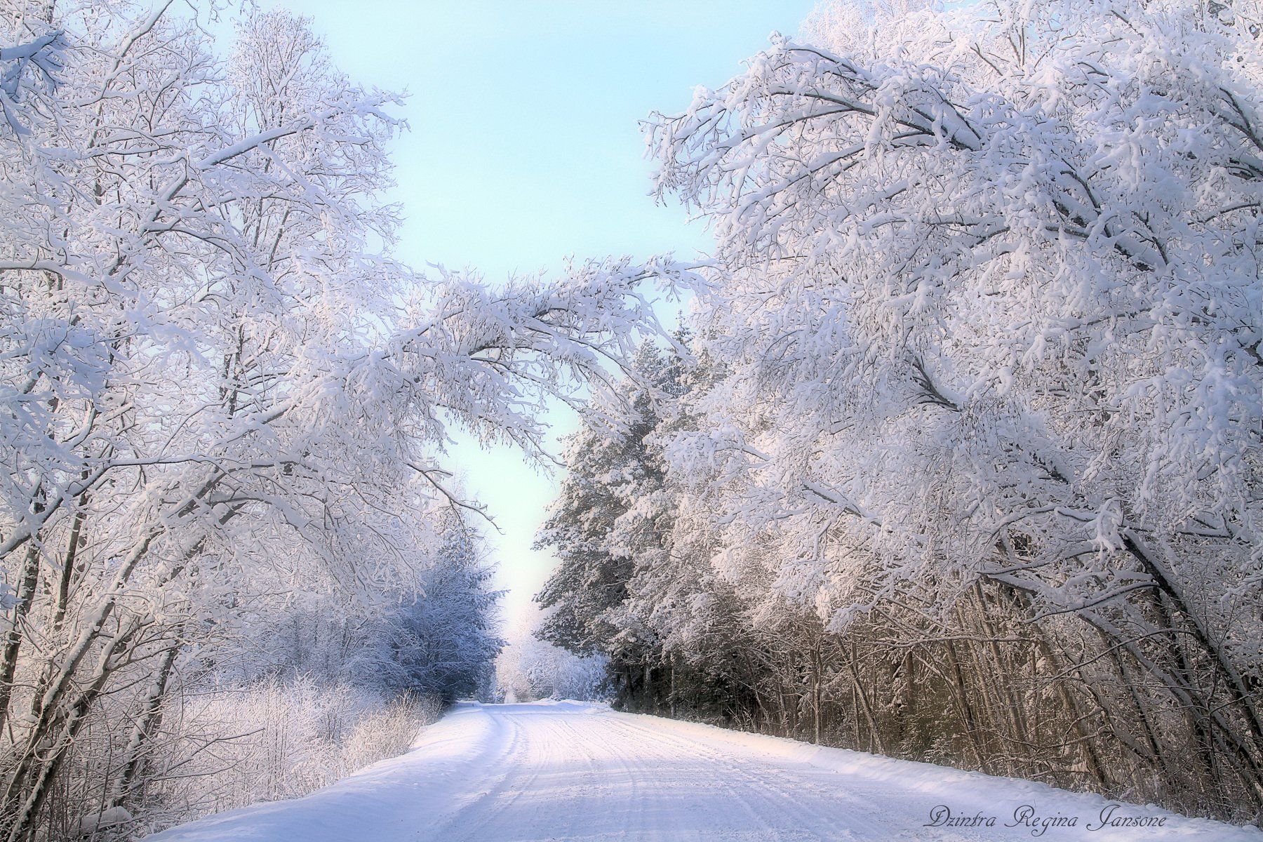 mist, winter, snow, blue, trees, winters landscape, road,  country, DZINTRA REGINA JANSONE