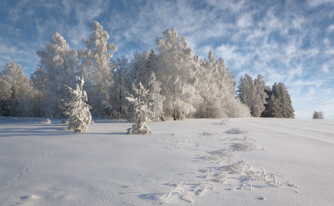 Снег иней сугробы лес облака кружева зима мороз, Георгий Машковцев