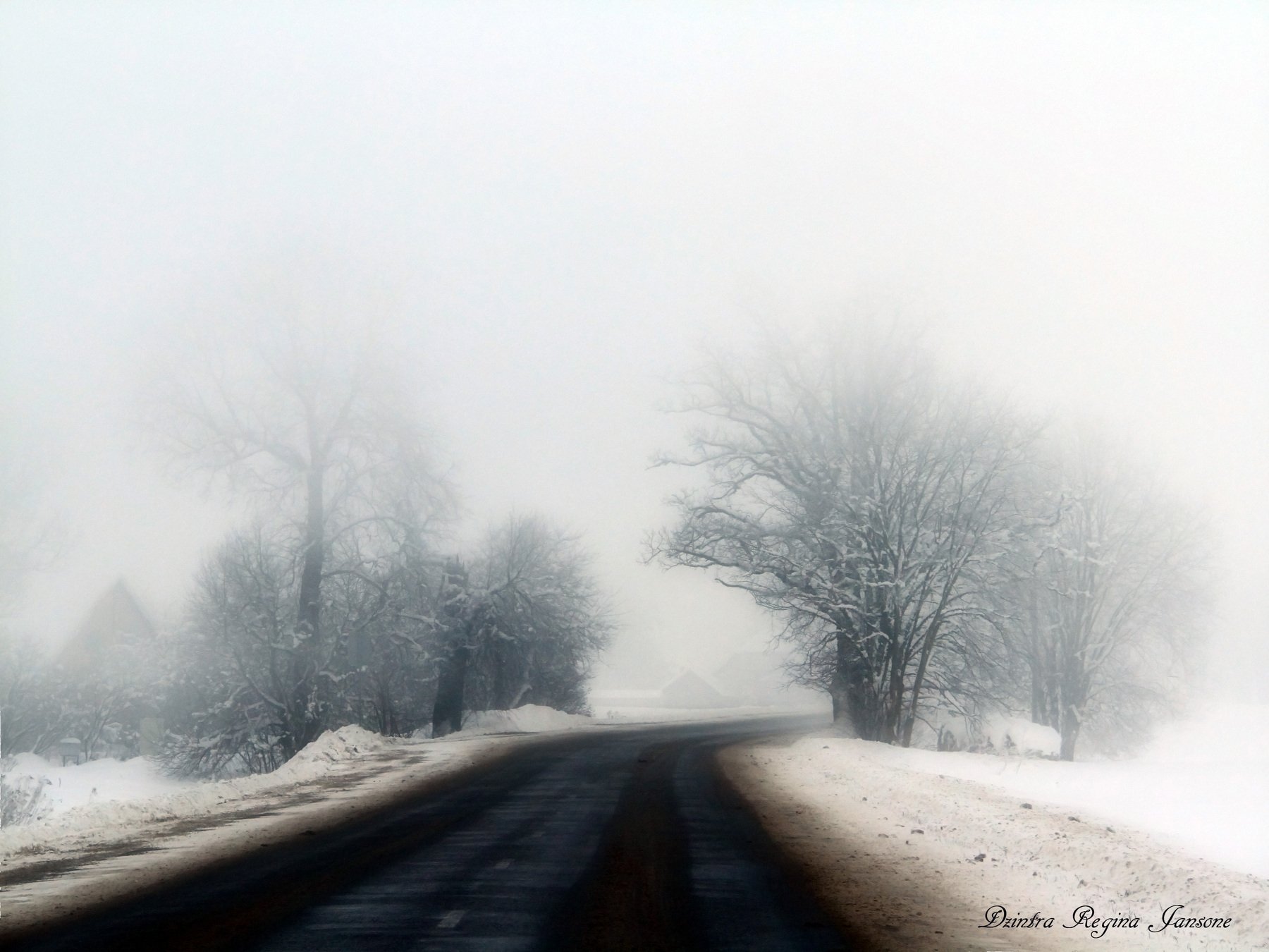 mist, winter, snow, grey, trees, winters landscape, road,  country, DZINTRA REGINA JANSONE