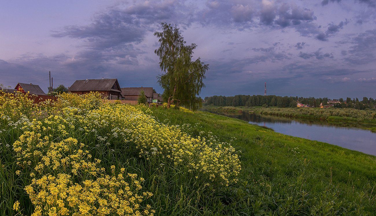 сумерки сурепка река лето цветы деревня, Марина Мурашова