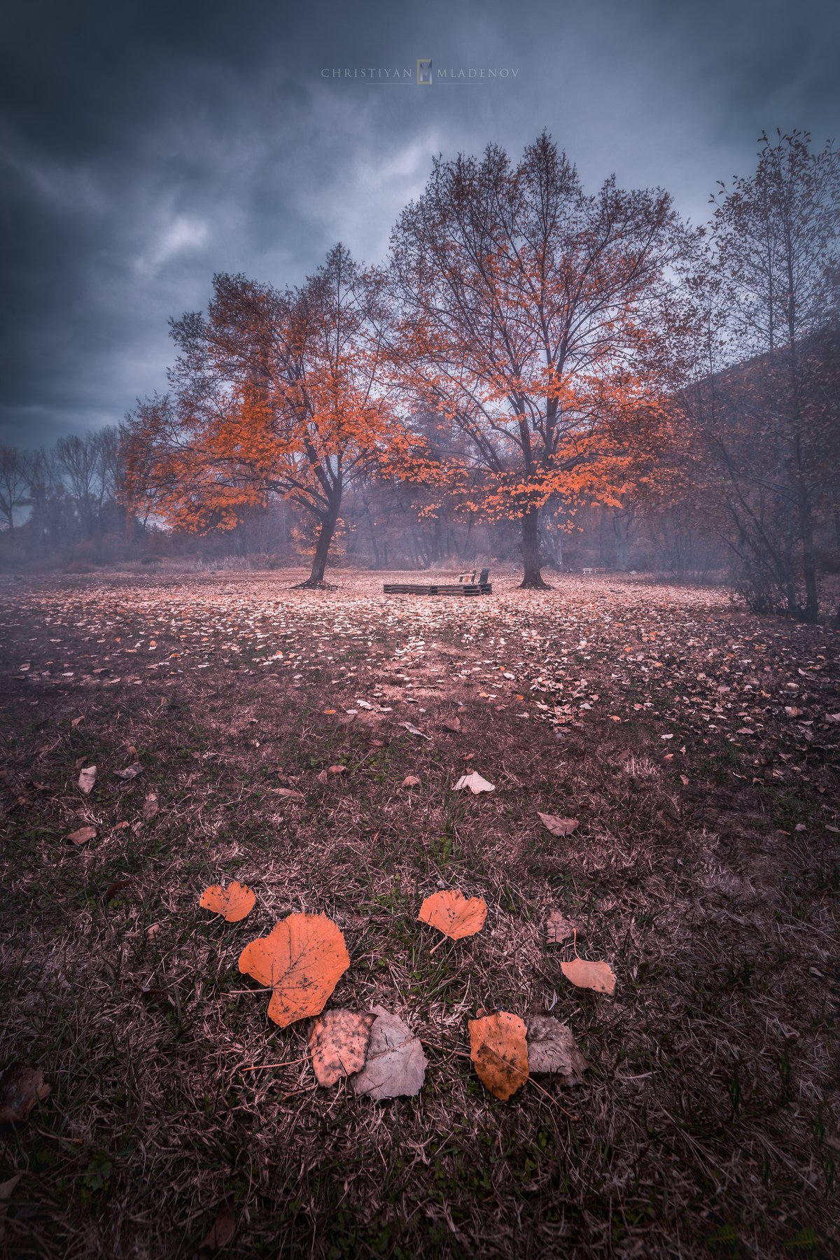 autumn, fall, landscape, trees, forest, woods, bulgaria, colors, nature, fog, mist, rain, october, sky, clouds, Кристиян Младенов