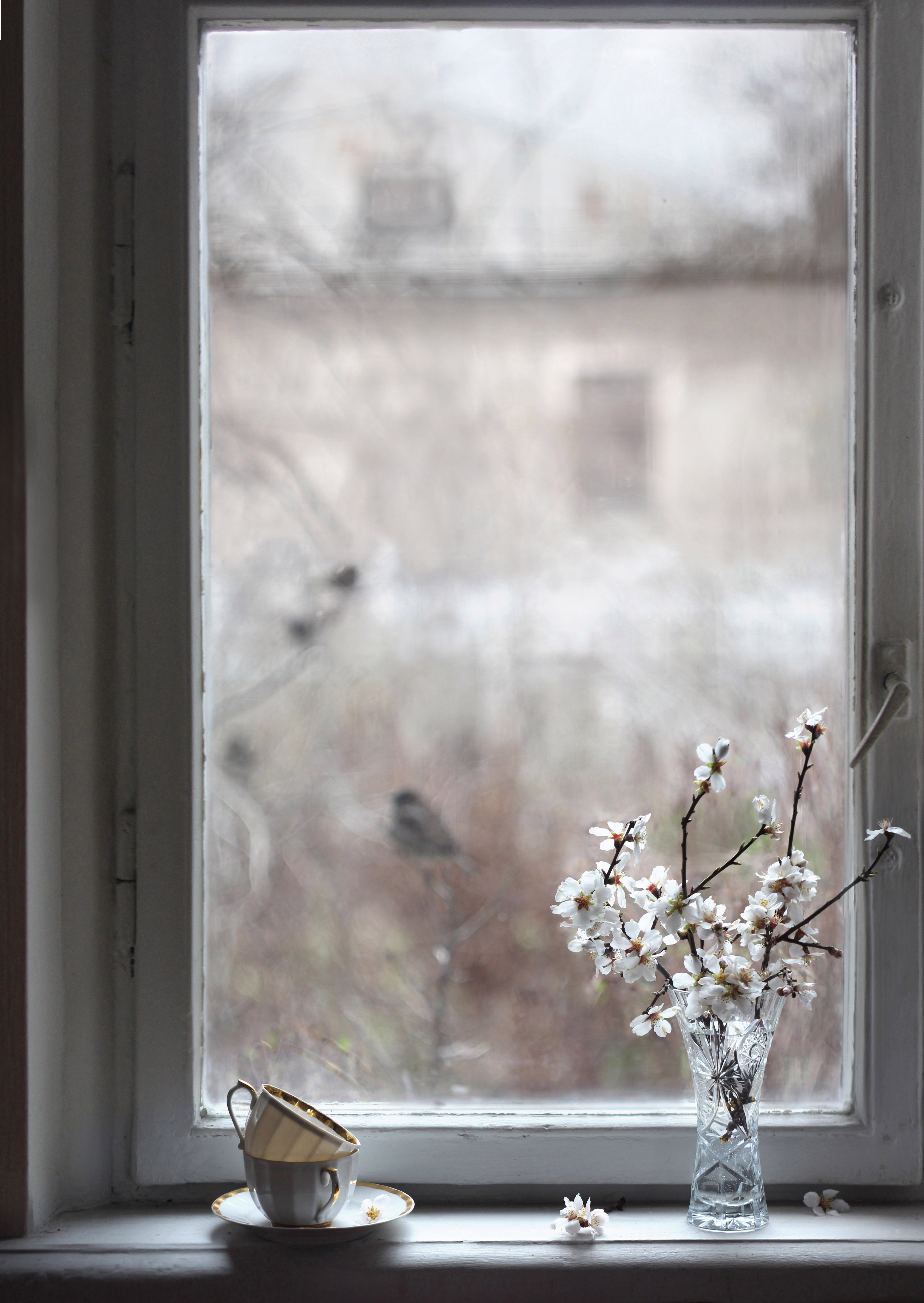 весна за окном картинки