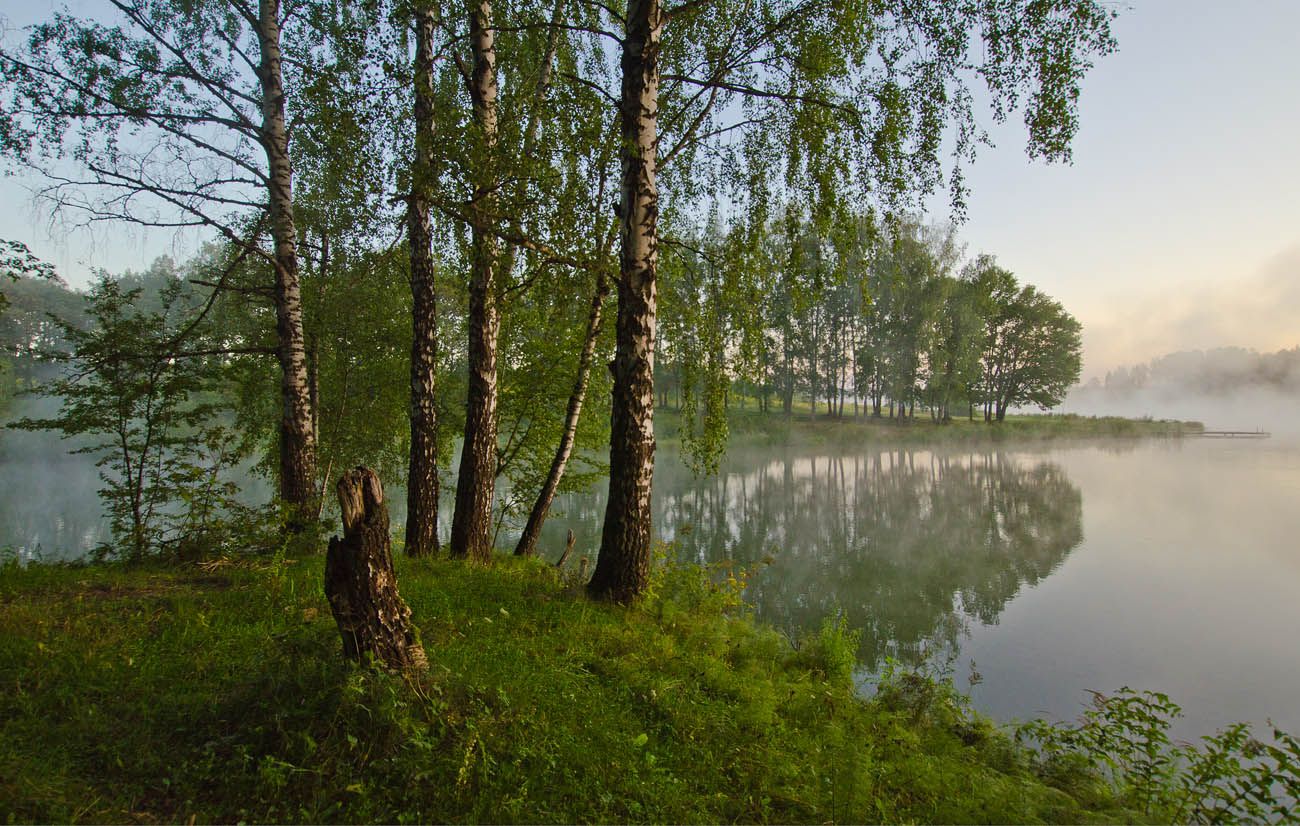 лето озеро природа пейзаж, Михаил Агеев