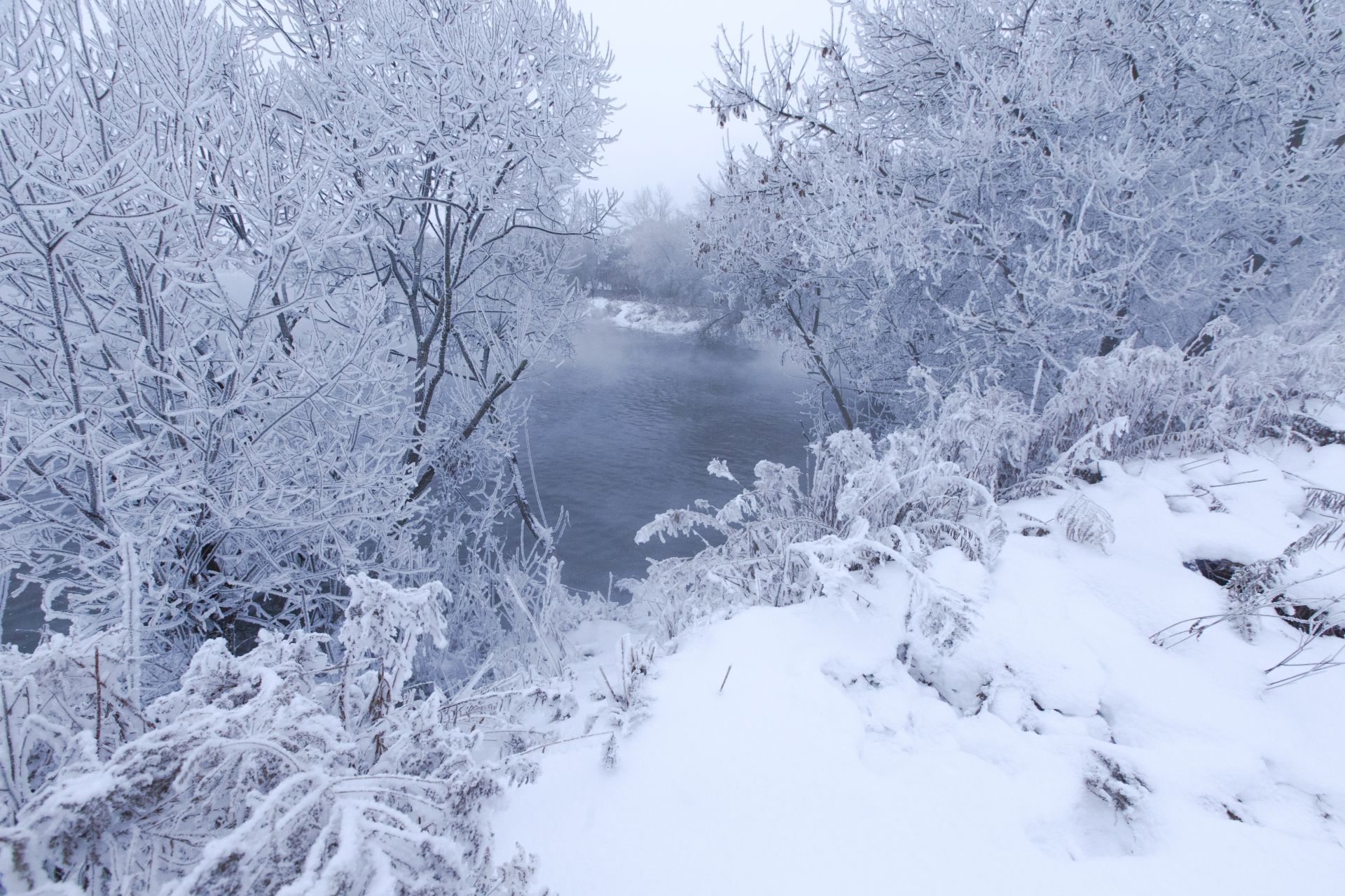 зима, снег, туман, утро, горячка, пейзаж, красота, winter, snow, mist, morning, landscape, beauty, Виктор Бертяев