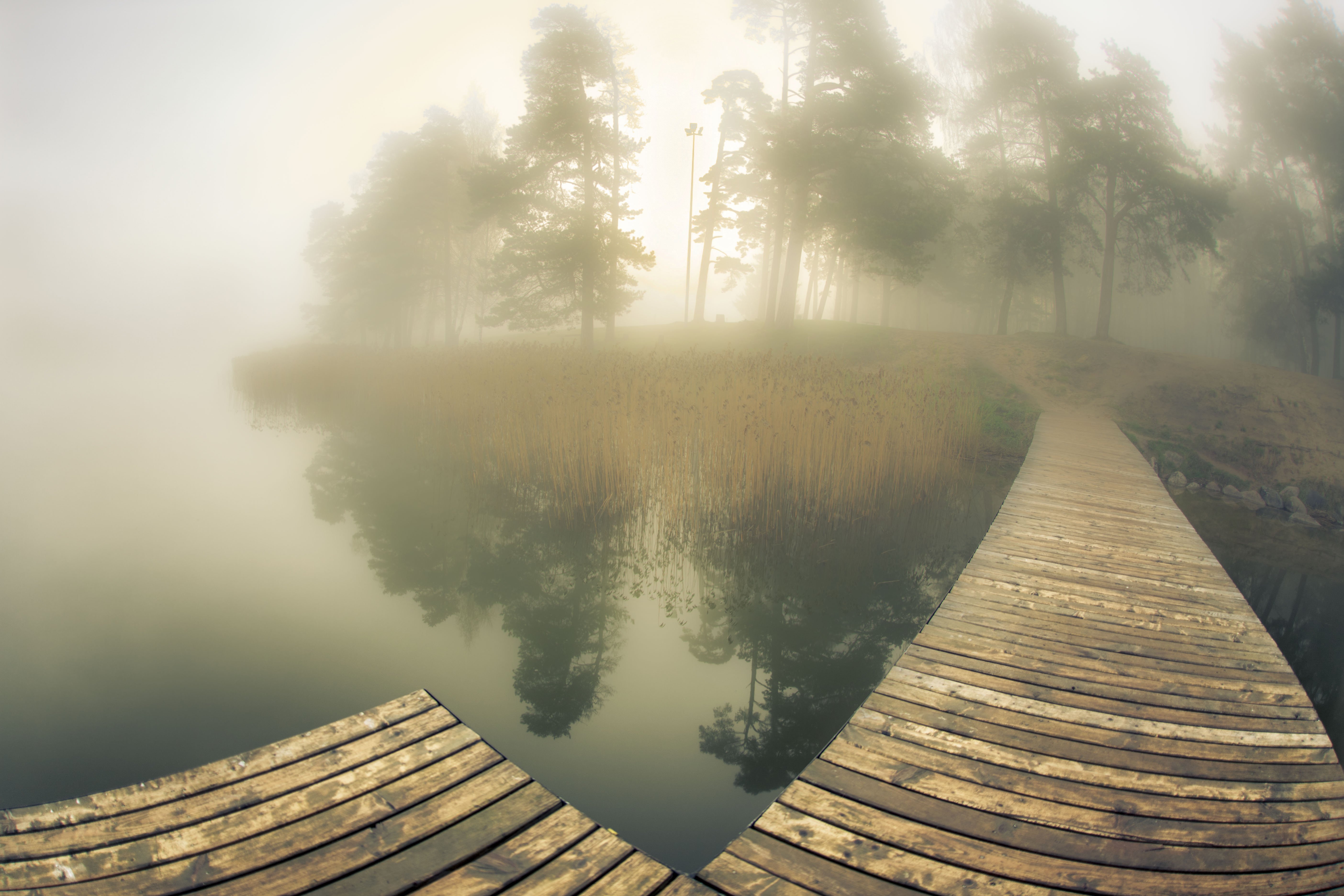 mist, lake, sunrise,fish eye, still, Zenonas Mockus