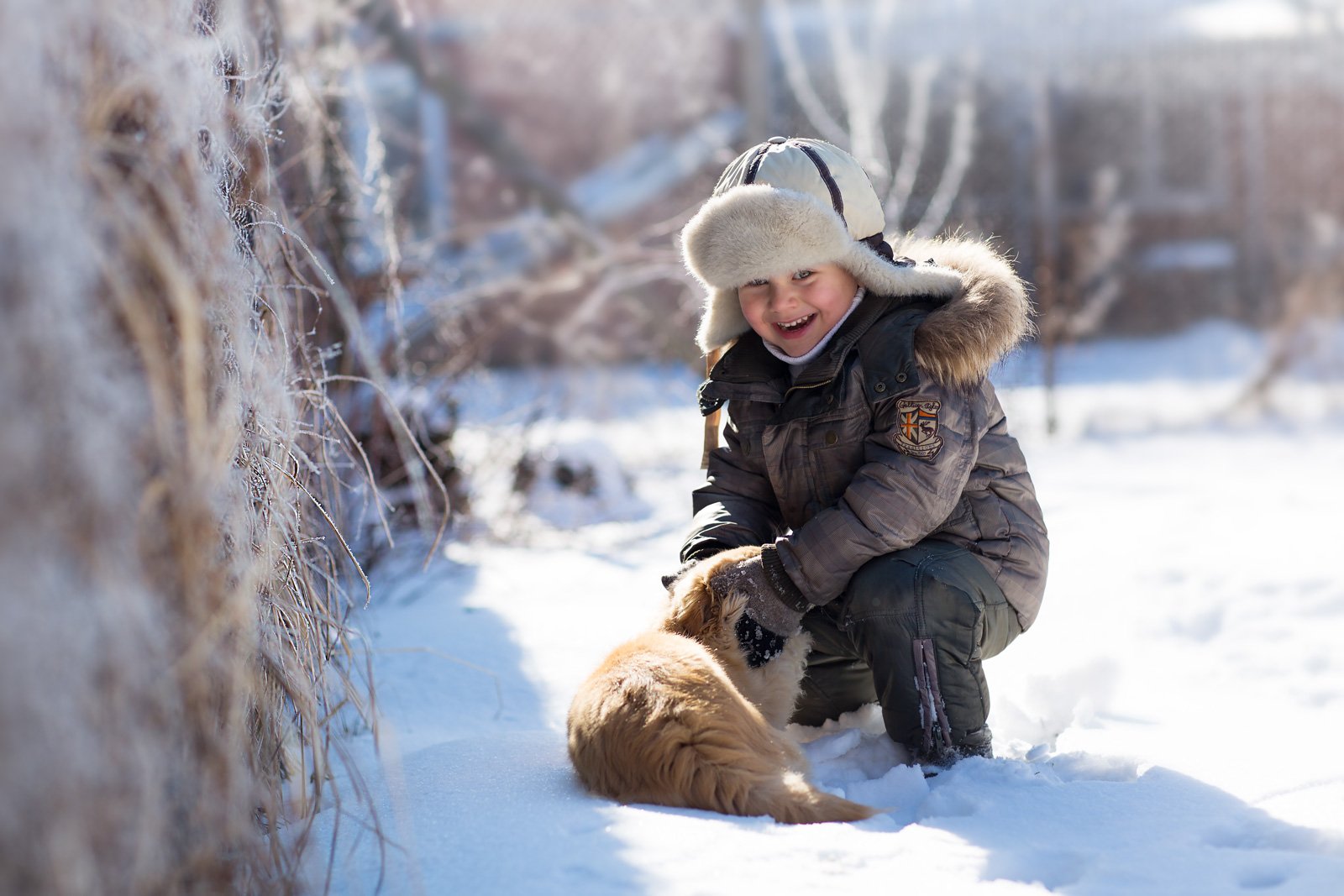 зима снег ребенок собака друг мороз семья радость счастье игра, Евгения Брусенцова