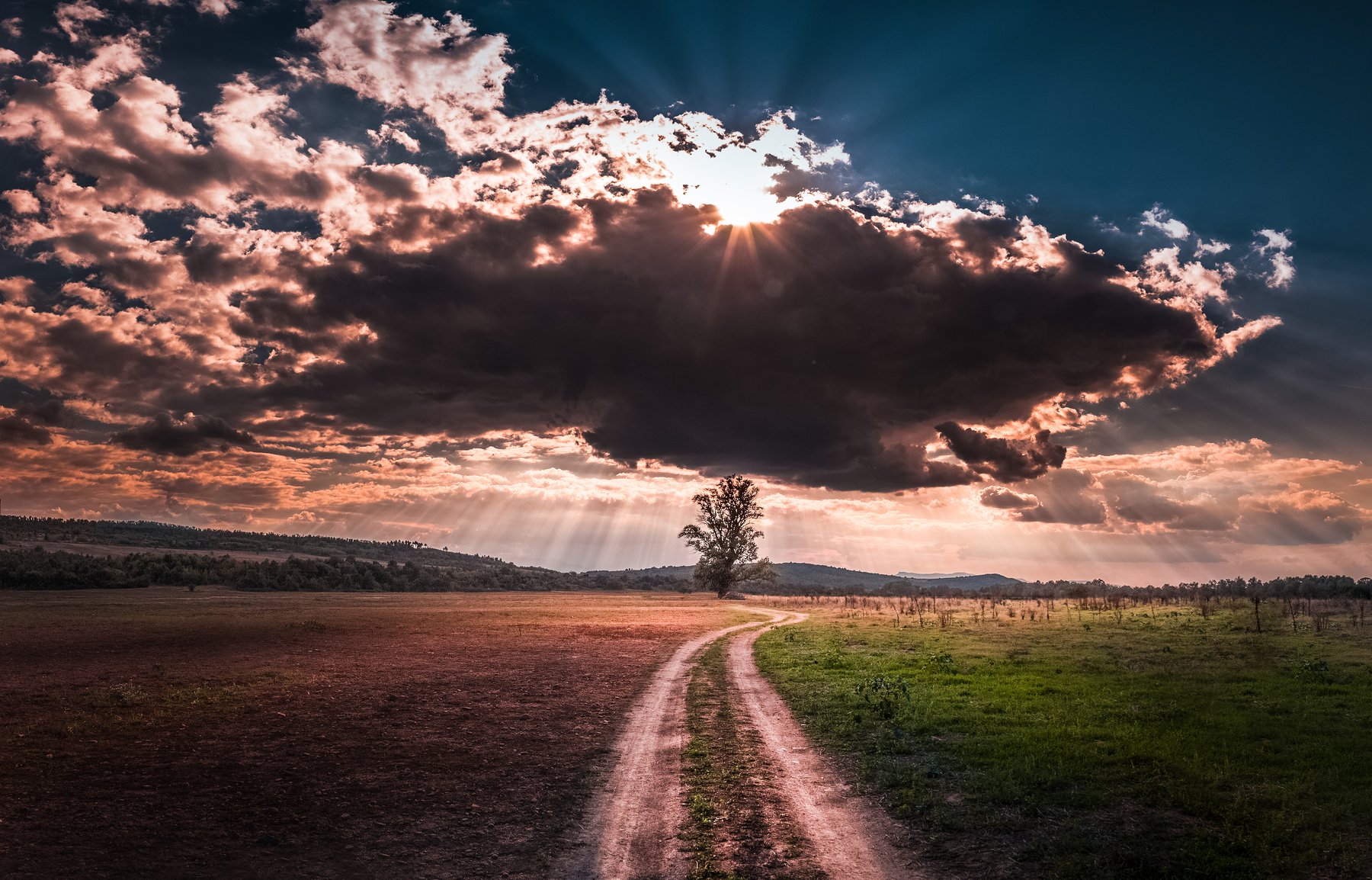 landscape, autumn, summer, road, field, clouds, sky, rays, sunrays, bulgaria, nature, tree, Кристиян Младенов