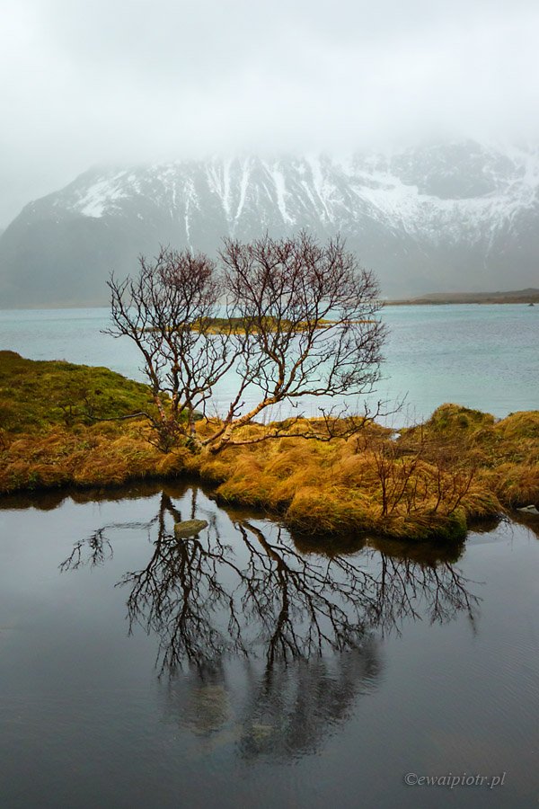 Lofoten, Norway,, Piotr Debek