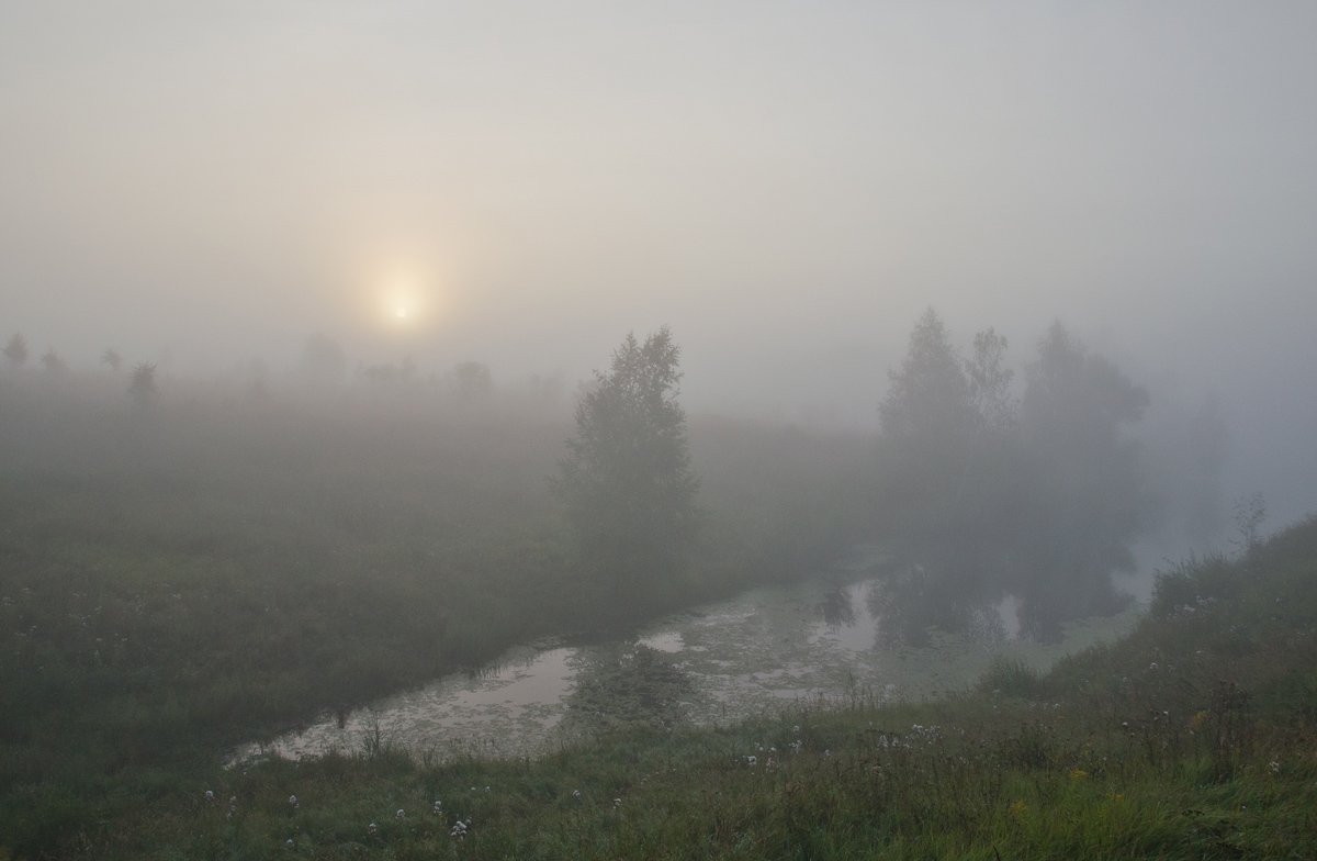 утро туман пруд пейзаж, Михаил Агеев
