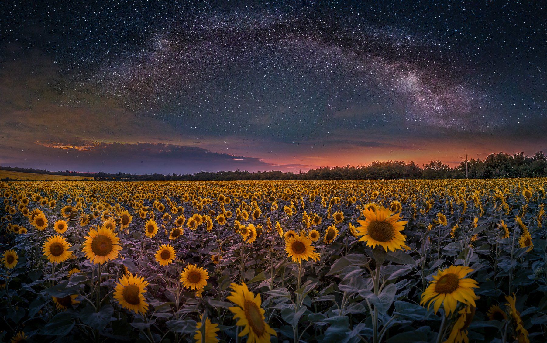 astrophotography, astroscape, astronomy, galaxy, milky way, nightscape, night, sky, stars, long exposure, nature, bulgaria, space, panorama, sunflowers, summer, Кристиян Младенов