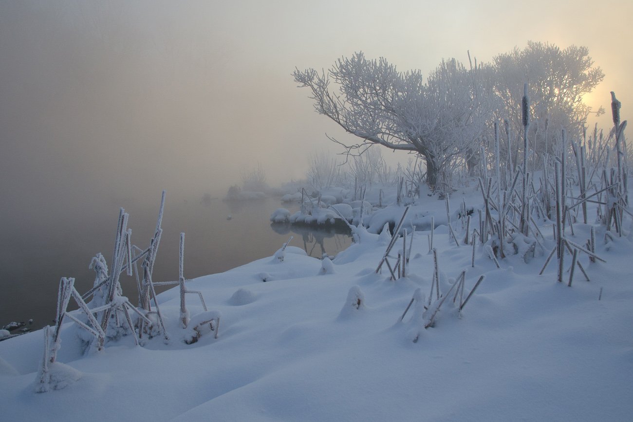 зима холод мороз снег иней озеро горячка, Михаил Агеев