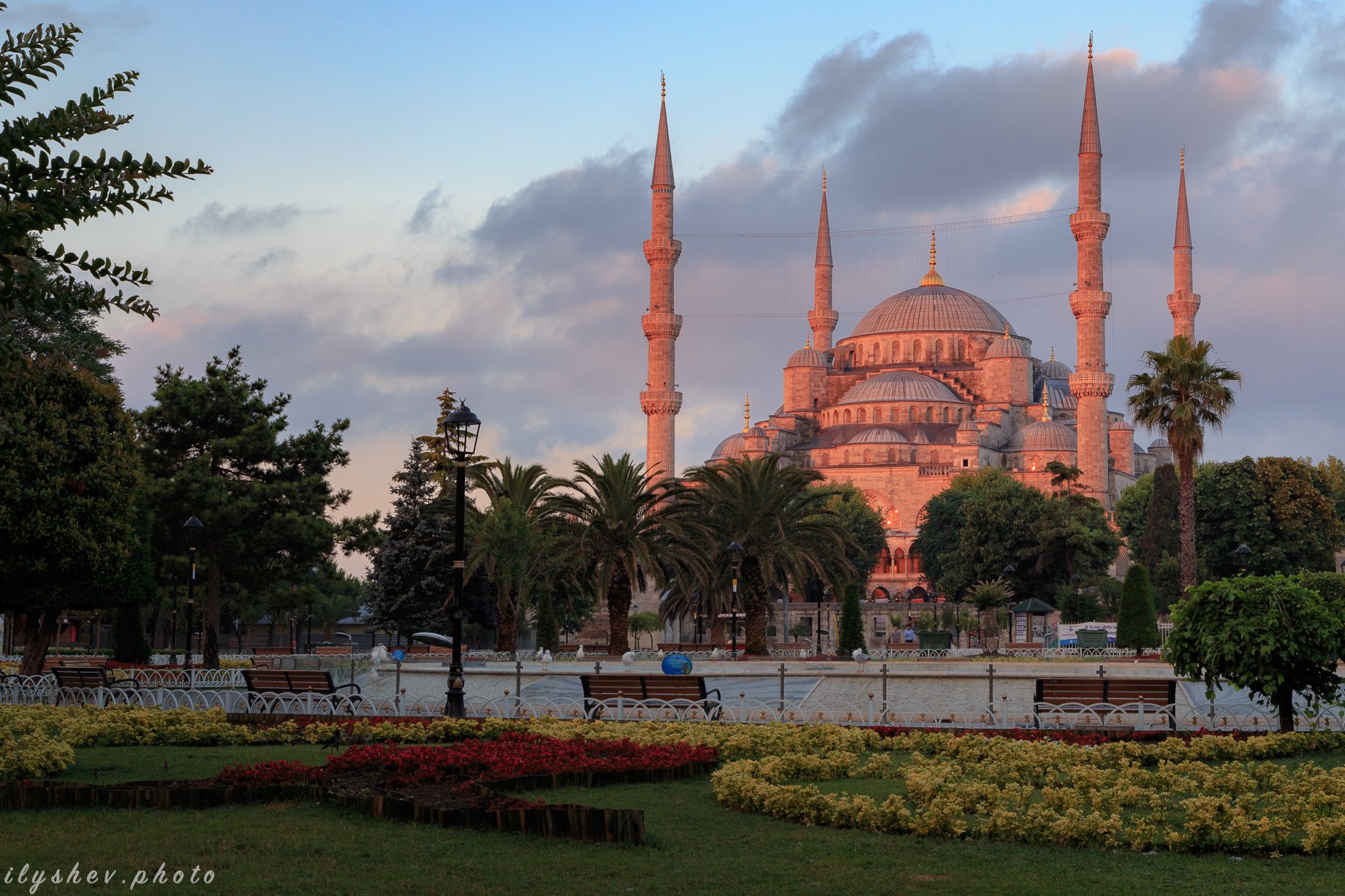 турция, стамбул, голубая мечеть, путешествия, утро, рассвет, Dmitry Ilyshev