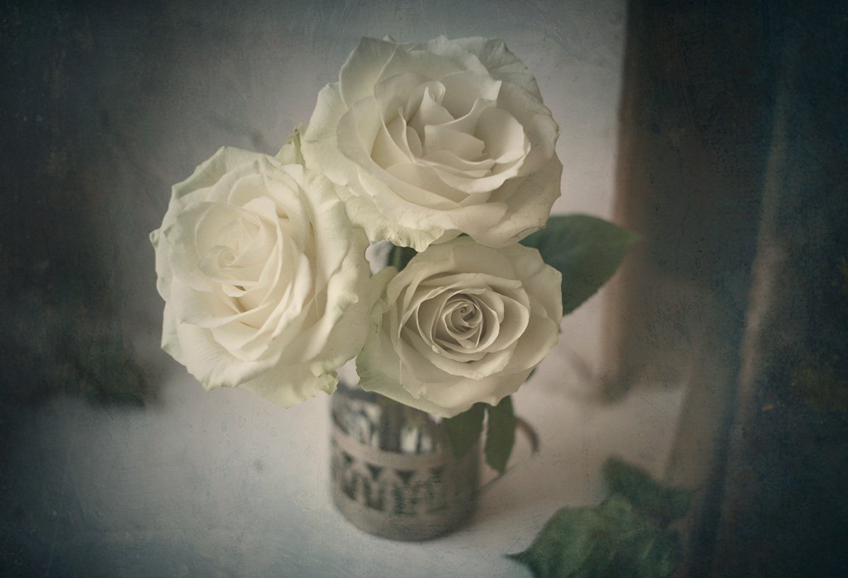 розы, роза, белые, цветы, цветение, весна, стакан, подстаканник, окно, штора, натюрморт, Игорь Токарев
