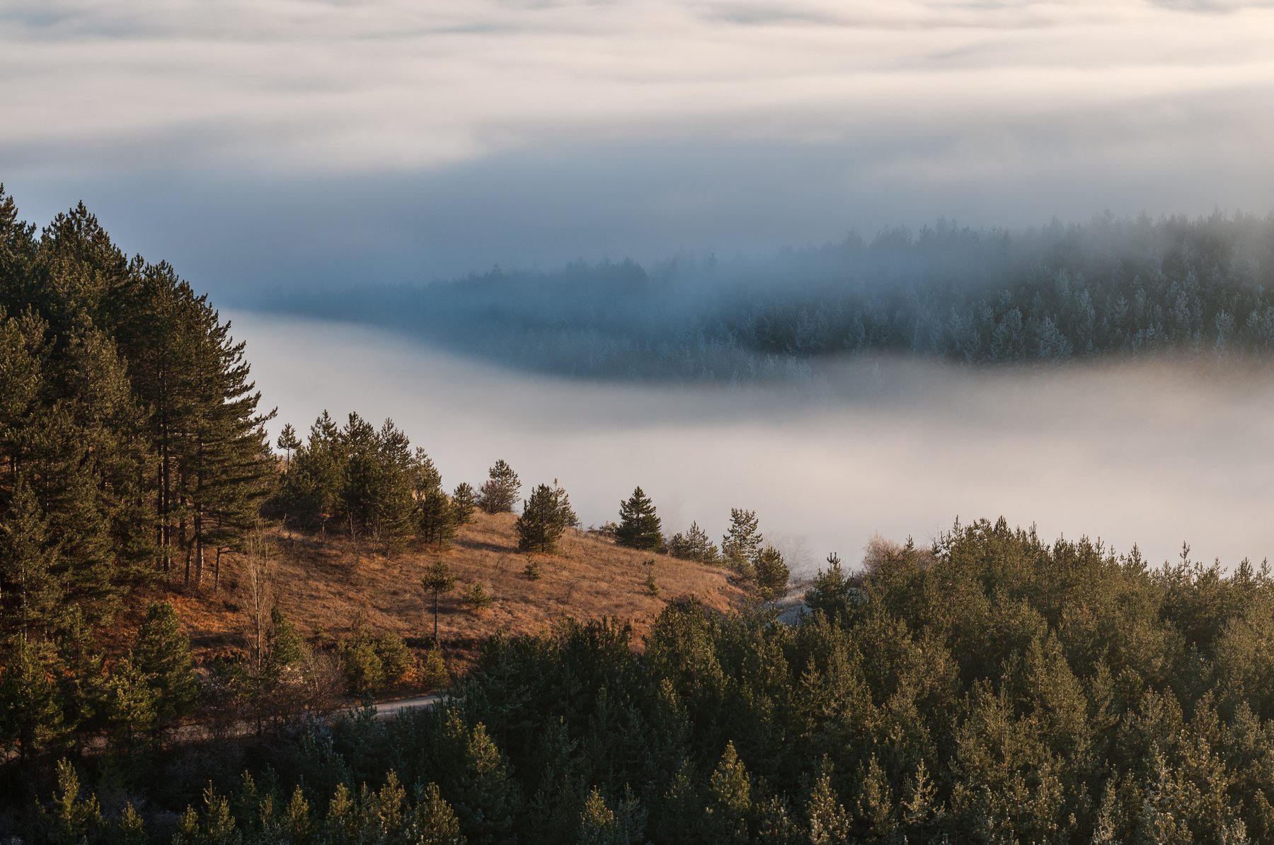 sunset, landscape, mountain, fog, forest, nature, mist, Иван Димитров
