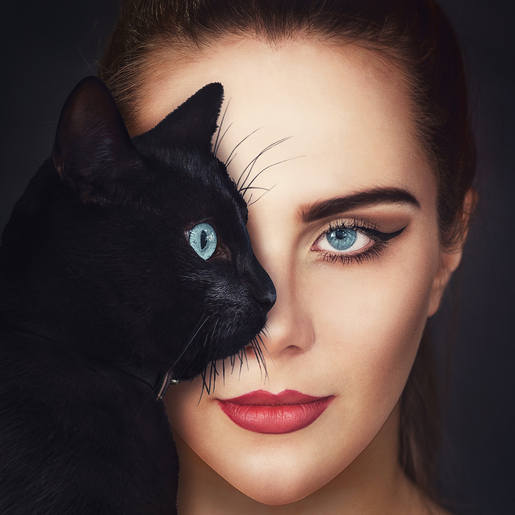 cat, portrait, Ruslan