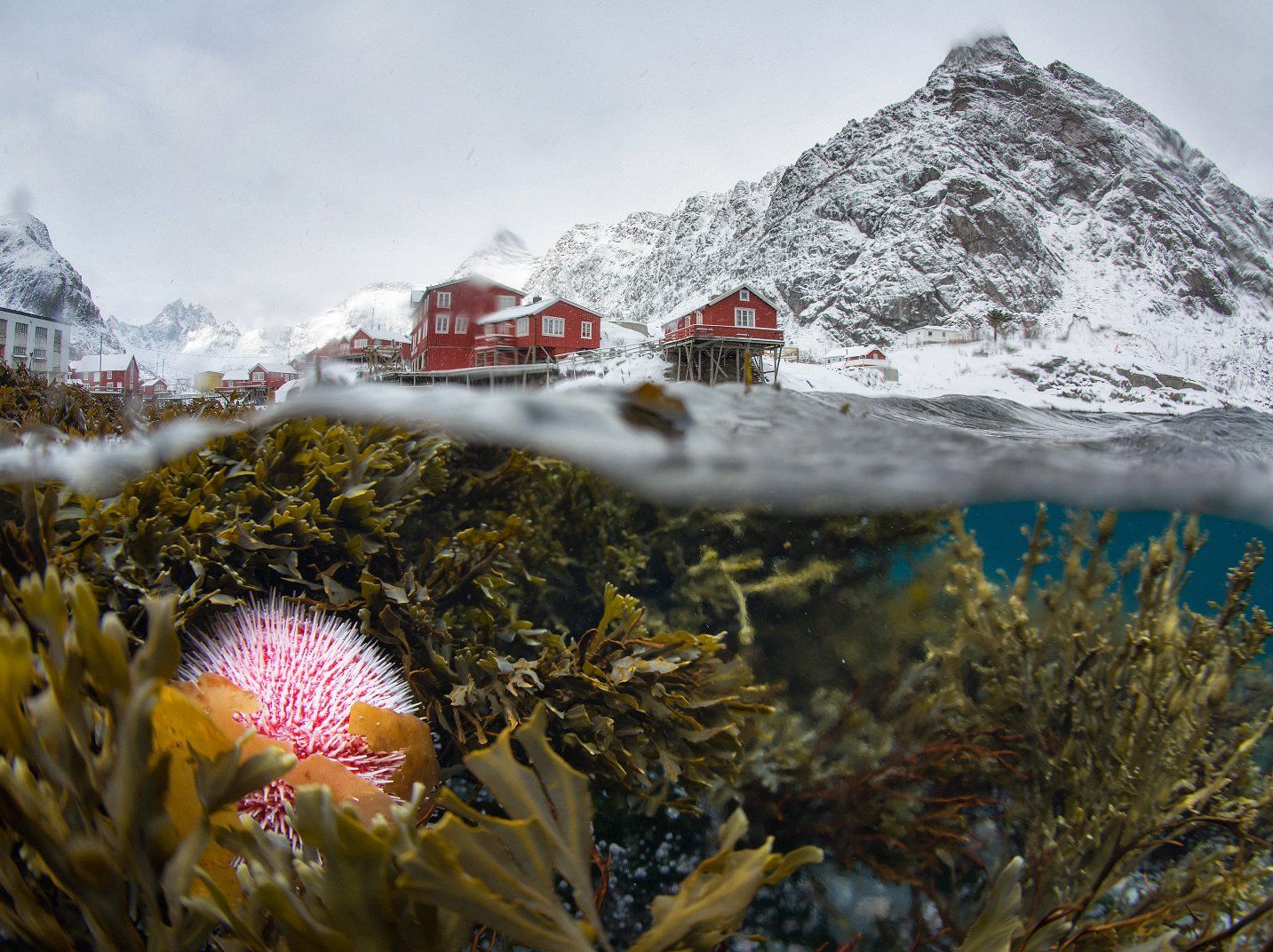 norway, lofoten, норвегия, лофотены, Сергей Луканкин