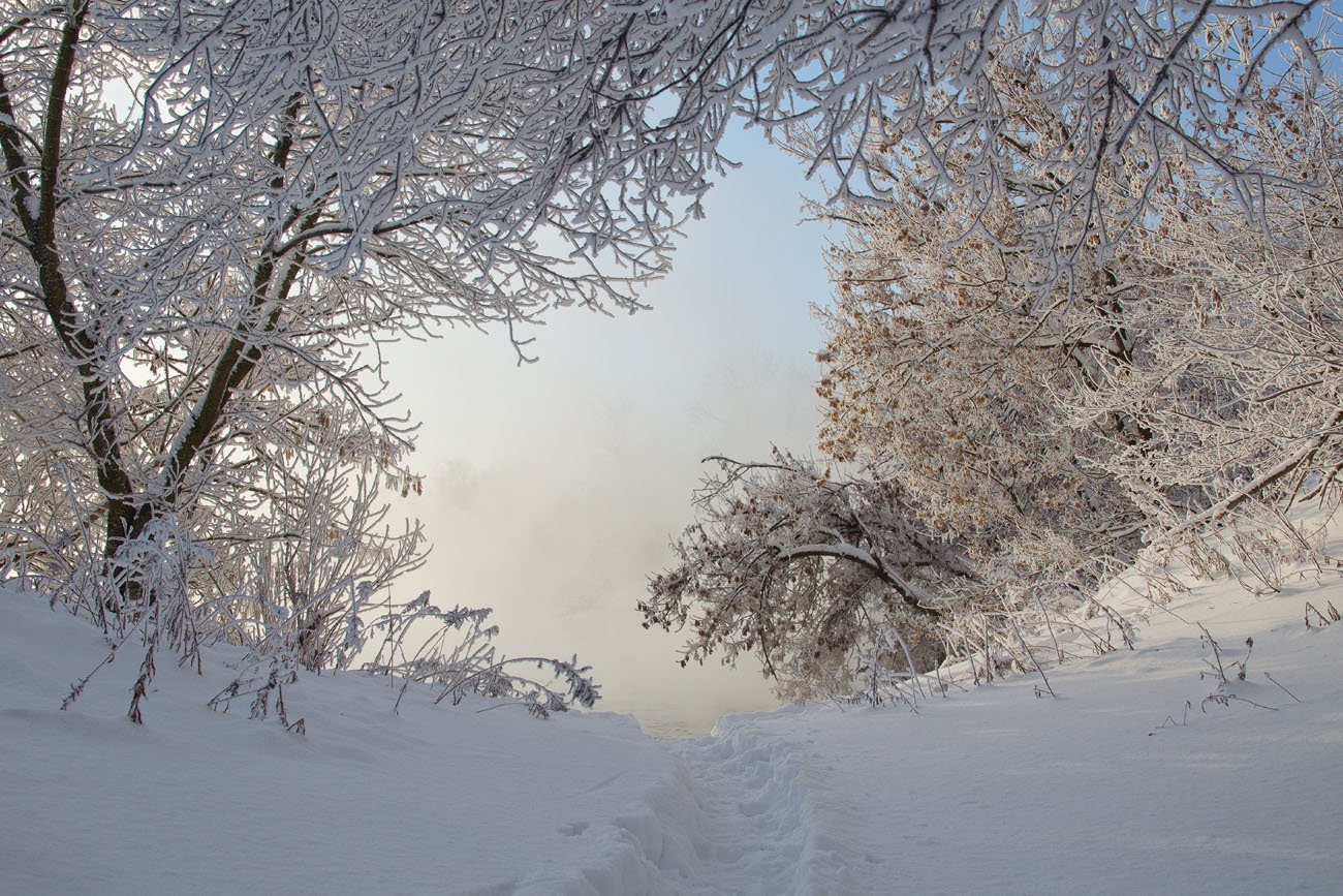 зима снег иней холод природа, Михаил Агеев