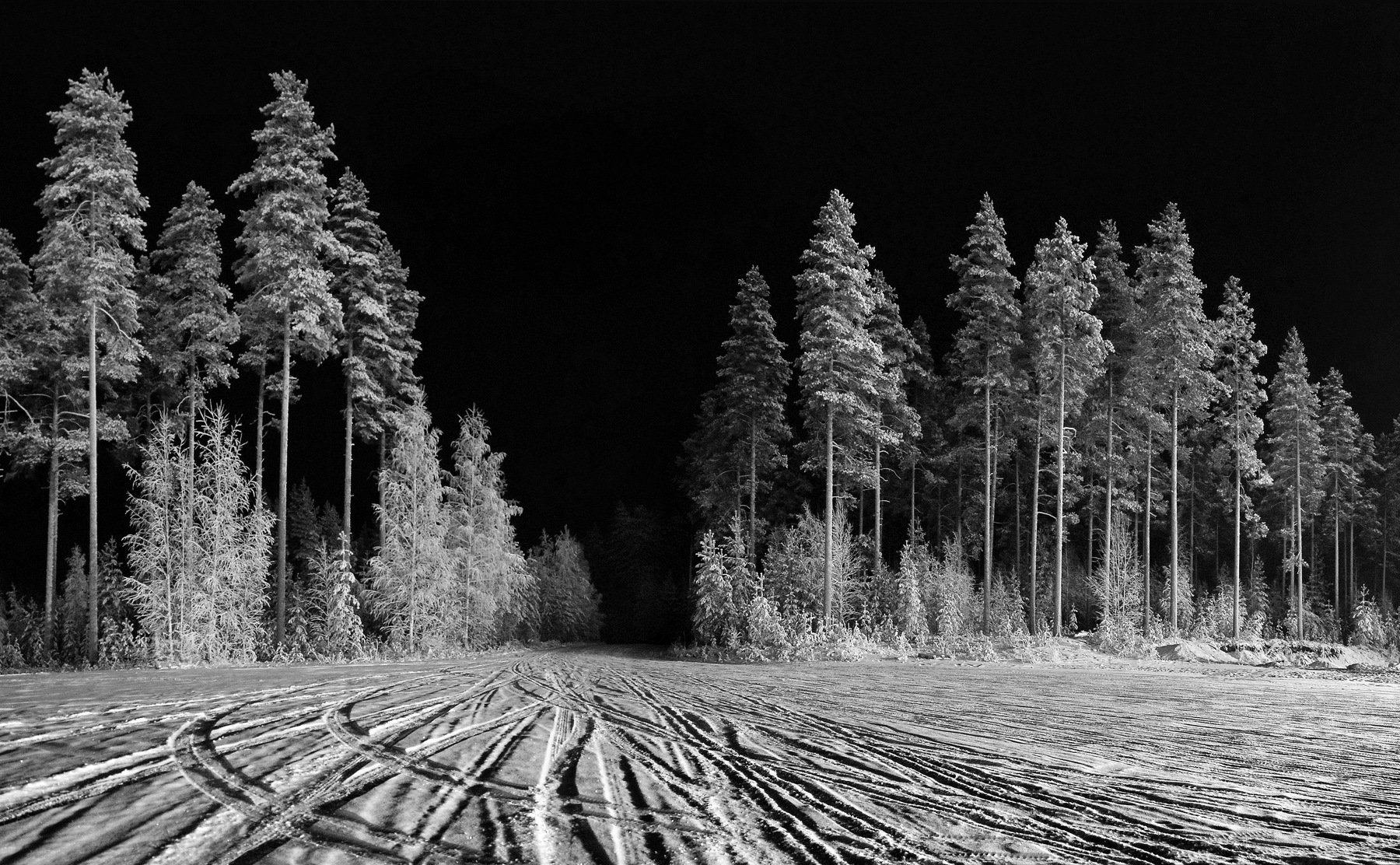 winter, snow, forest, trees, paysage, finland, night, black and white, road, trace,, Nikolai Endegor