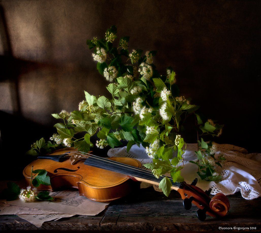 скрипка, музыка, ноты, лето, цветы, натюрморт, Eleonora Grigorjeva