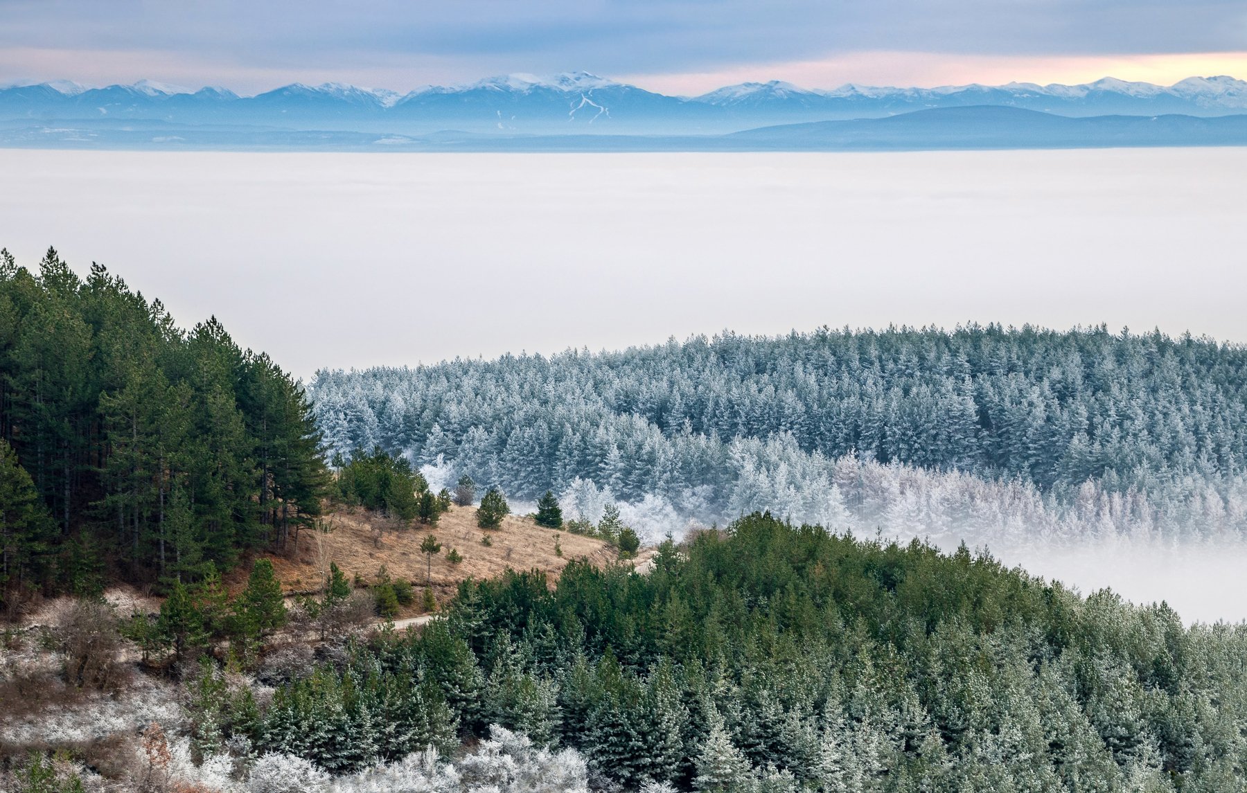 sunset, landscape, mountain, fog, foggy, snow, nature, forest, tree, sky, clouds , Иван Димитров