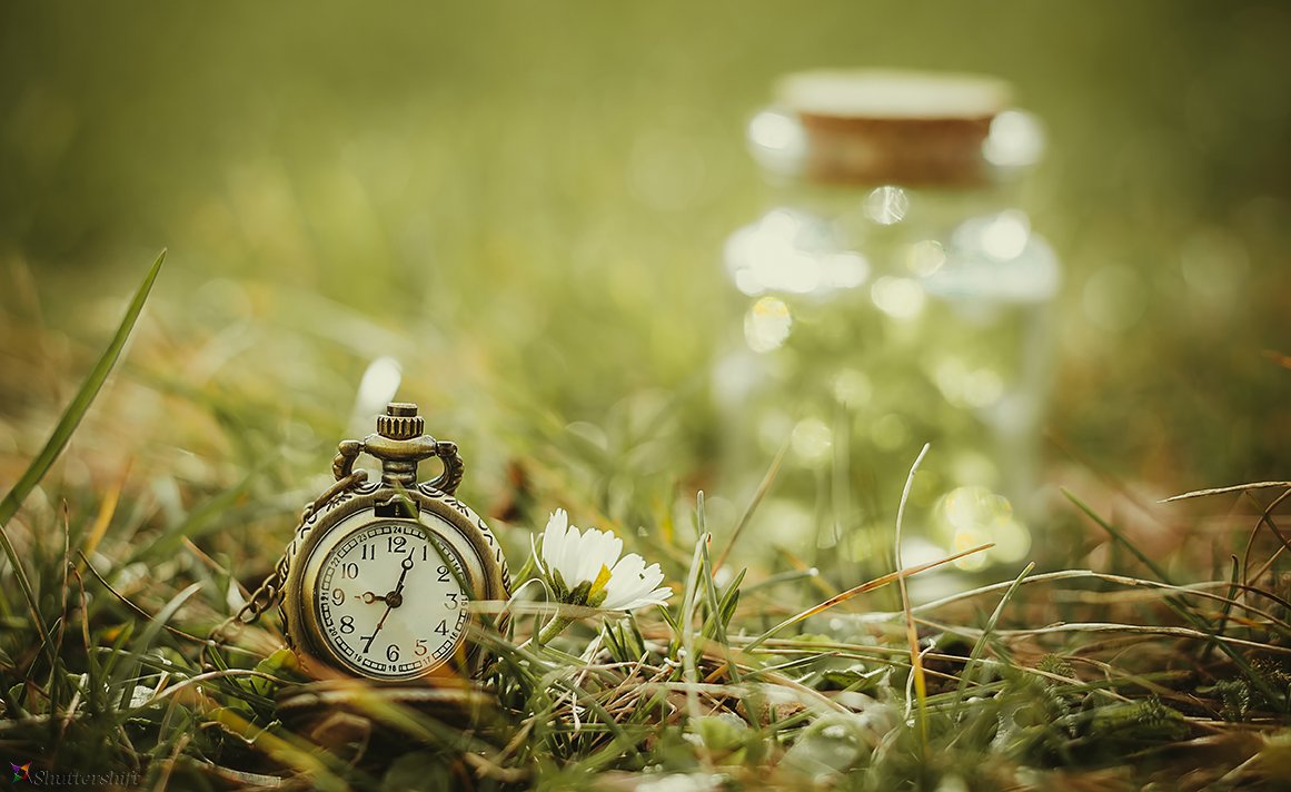 clock, watch, time, jar, grass, spring, green, old, vintage,, Pavel Ivanov