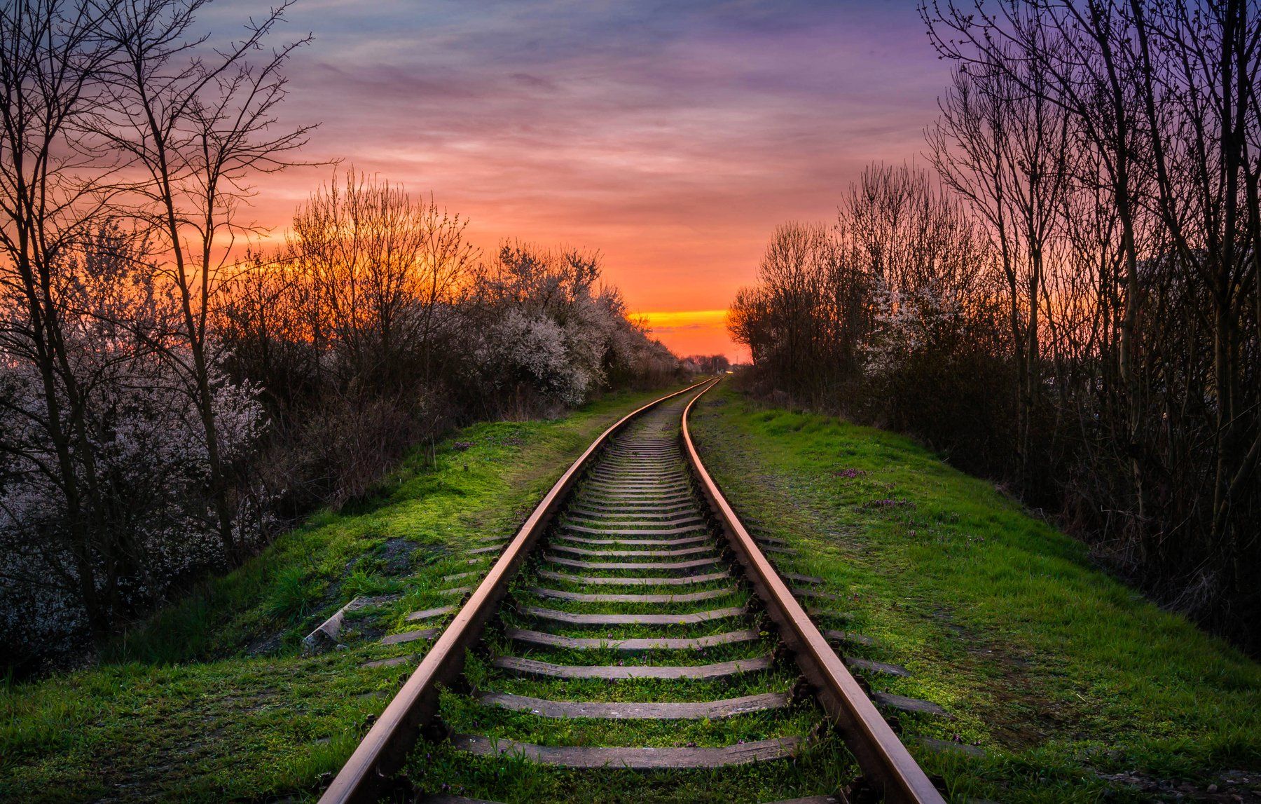 rail, train, sunset, spring, grass, sky, clouds, railway, railroad,, Pavel Ivanov