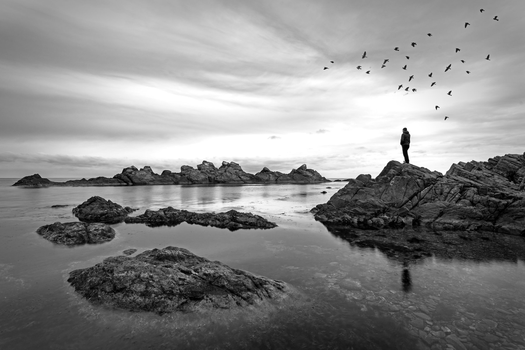 rocks, sea, birds, mood, man, lonley, Атанас Донев