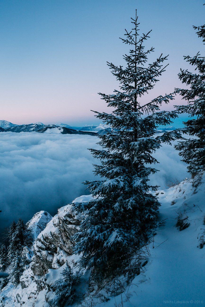 Австрия, горы, зима, Альпы, облака, Nikita Leksikov