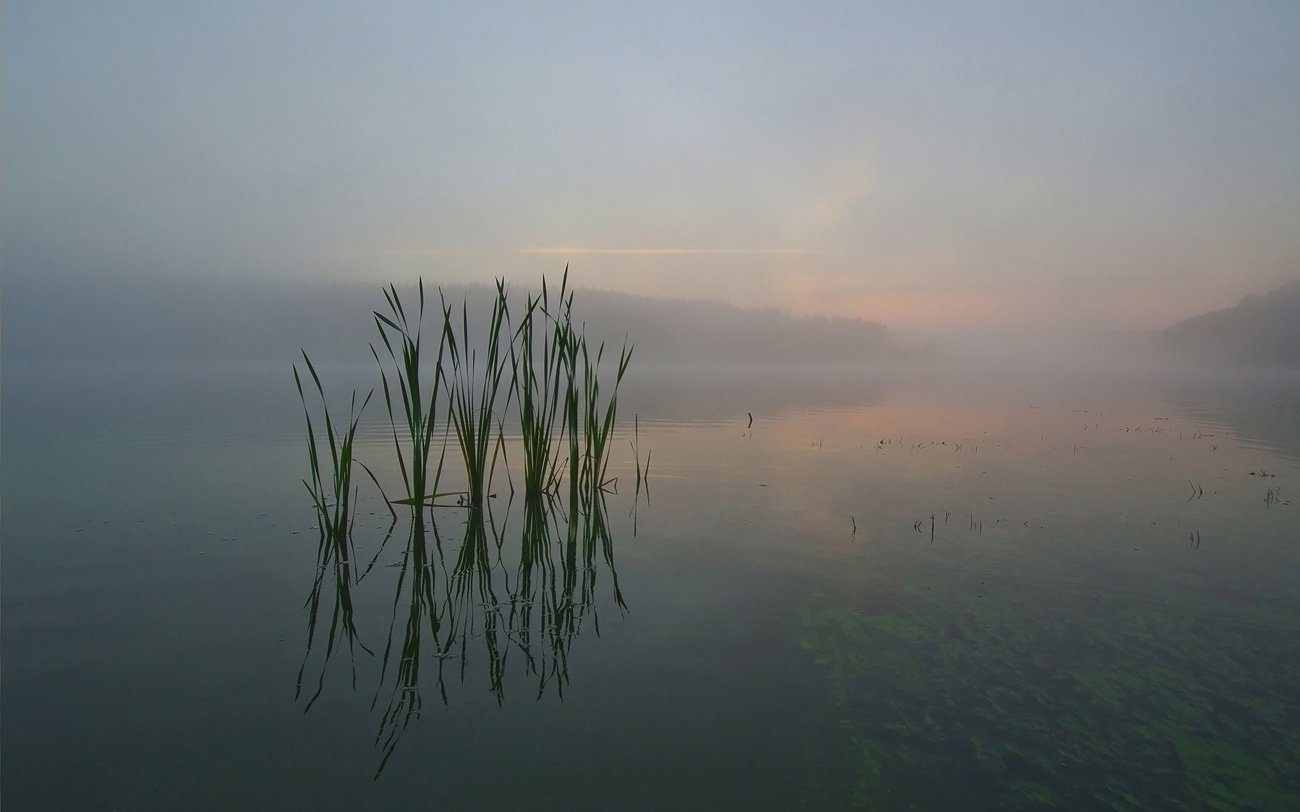 утро рассвет природа пейзаж озеро новое, Михаил Агеев