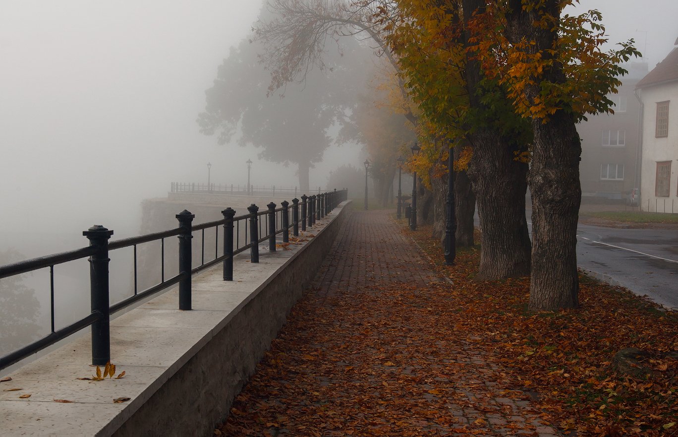 осень, туман, нарва, Aleksandr Kljuchenkow