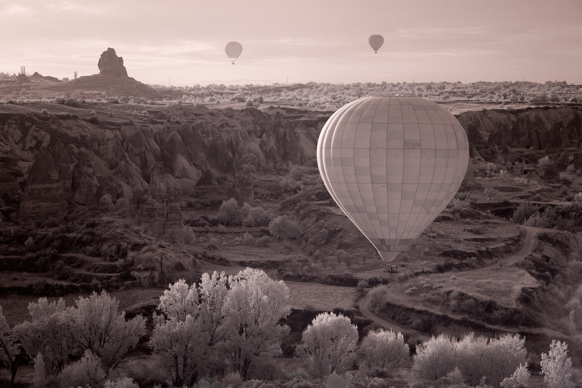 Шар, воздушный,каппадокия, турция,полёт,утро,balloon,cappadocia,merning,fly,, Олег Грачёв