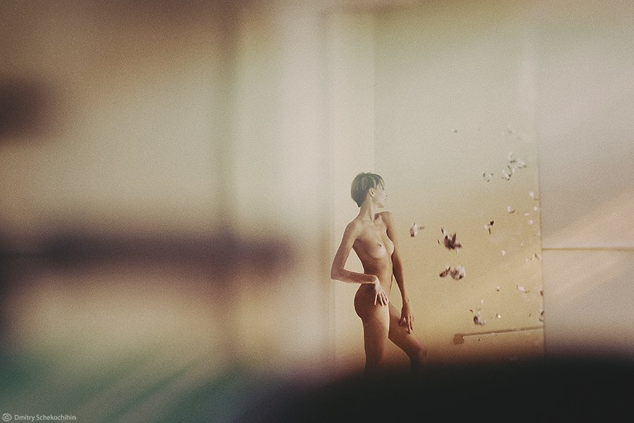 art nude, Дмитрий Щекочихин
