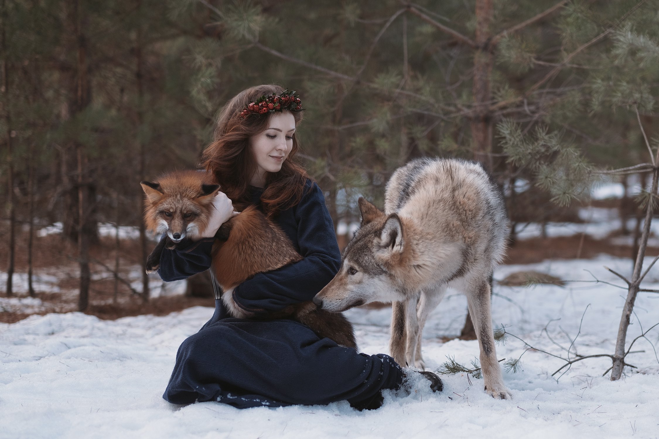 photo, wolf, fox, girl,, Ольга Баранцева