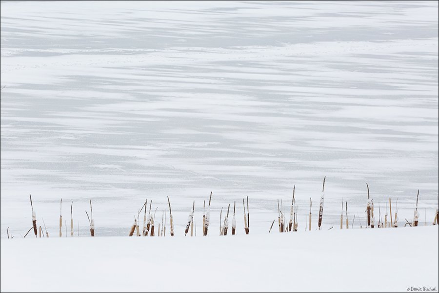озеро, софия, зима2017, Denis Buchel (Денис Бучель)