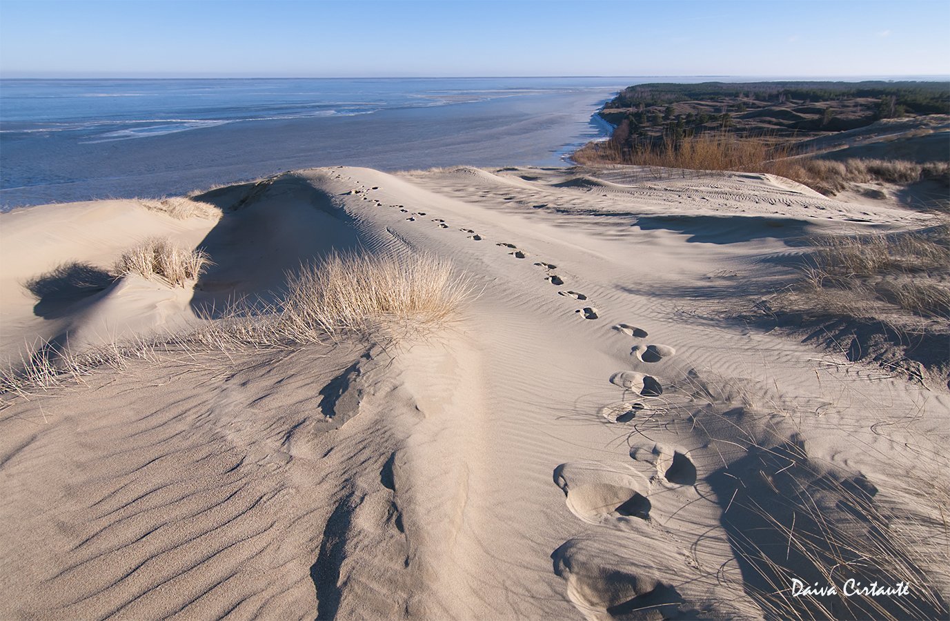 dunes,dead dunes,sand,white dunes, Daiva Cirtautė