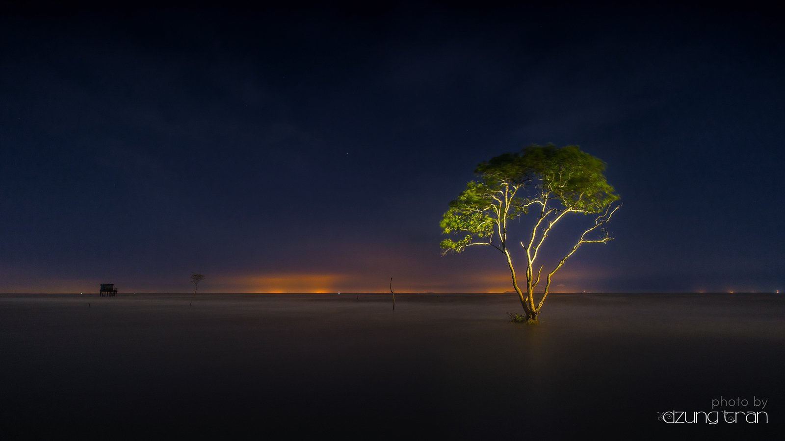 #lonely #tree #landscape, Dzung Tran