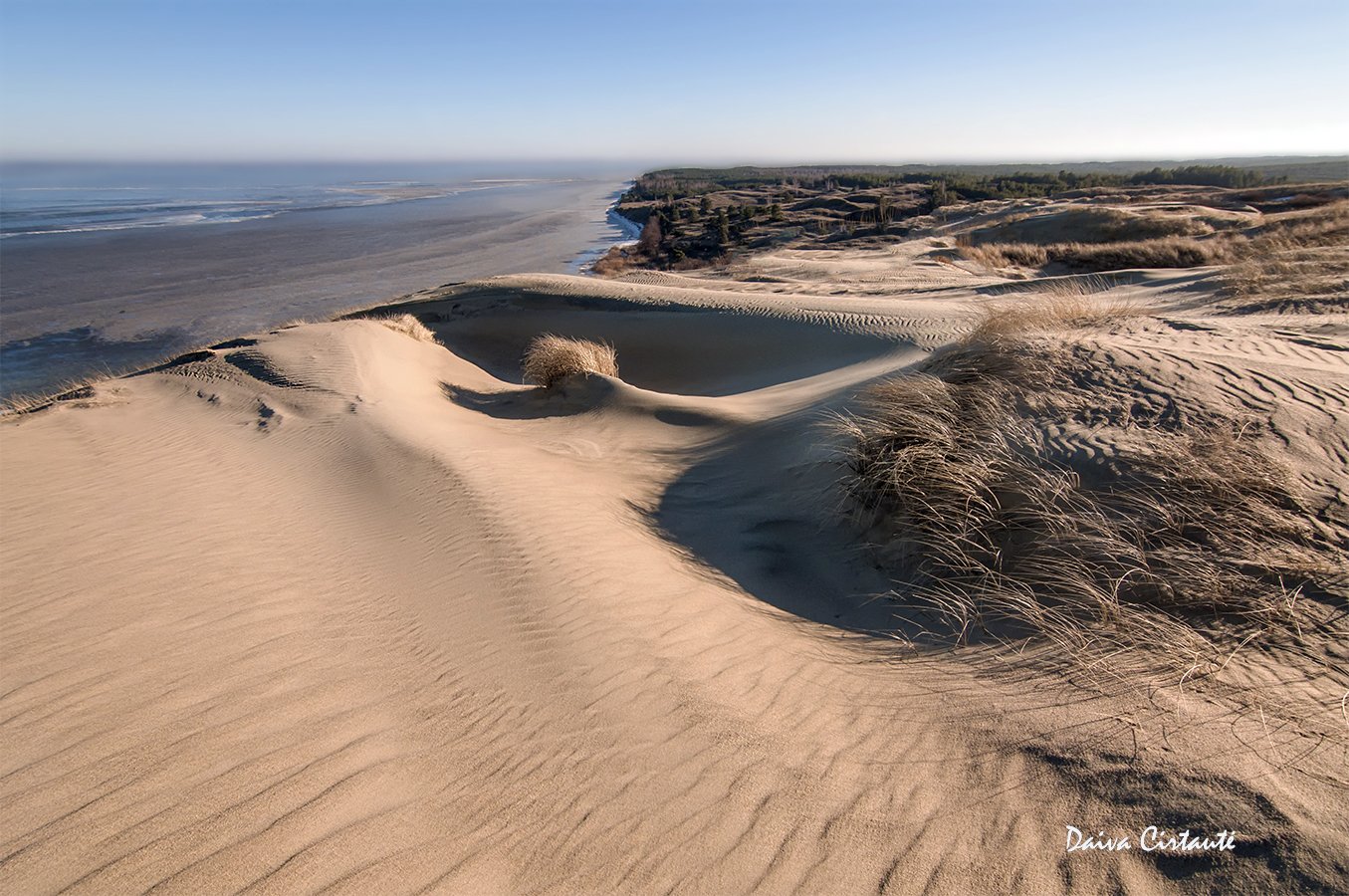 dunes,dead dunes, Daiva Cirtautė