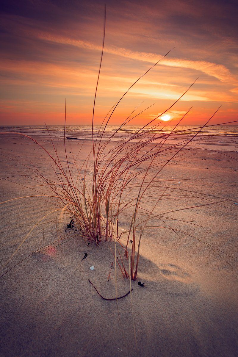 baltic sea, curonian spit, lithuania, sunset, colors, sand, Руслан Болгов (Axe)