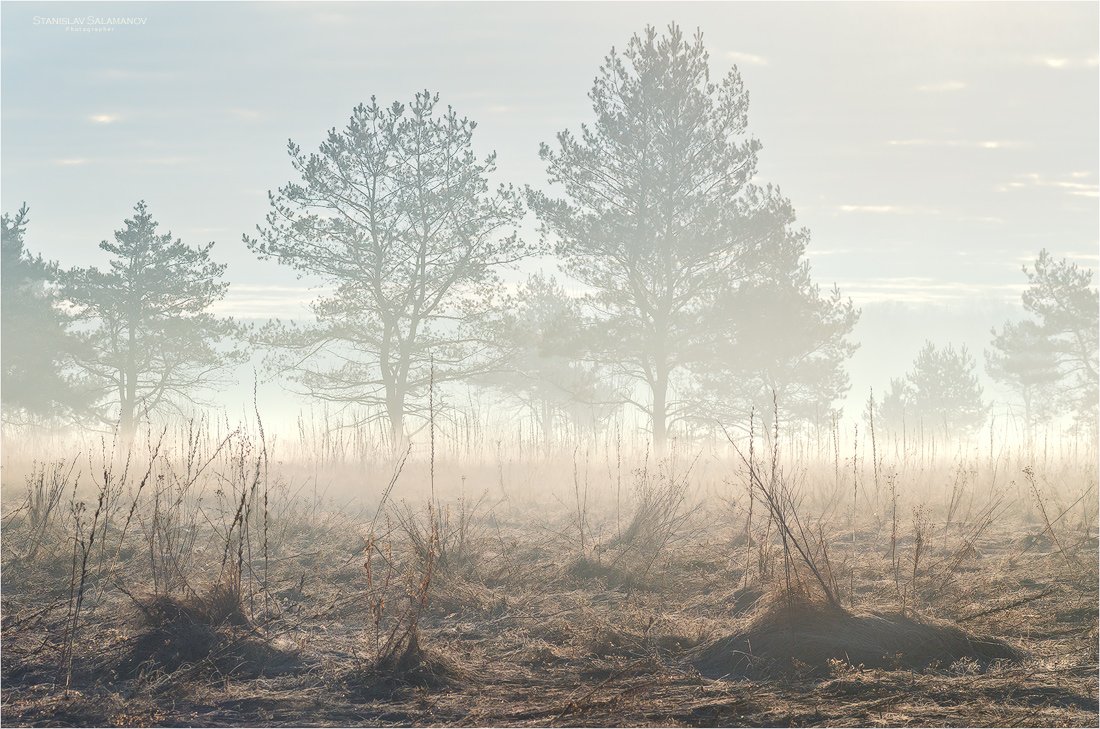 утро, туман, дымка, луг, весна, март, Станислав Саламанов