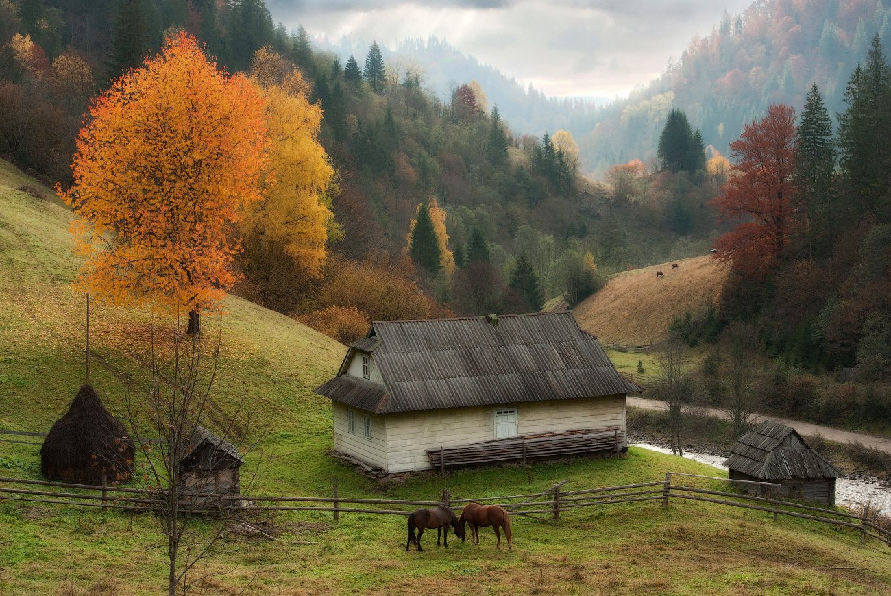 горы, осень, лошадки, домики, Вьюшкин Игорь